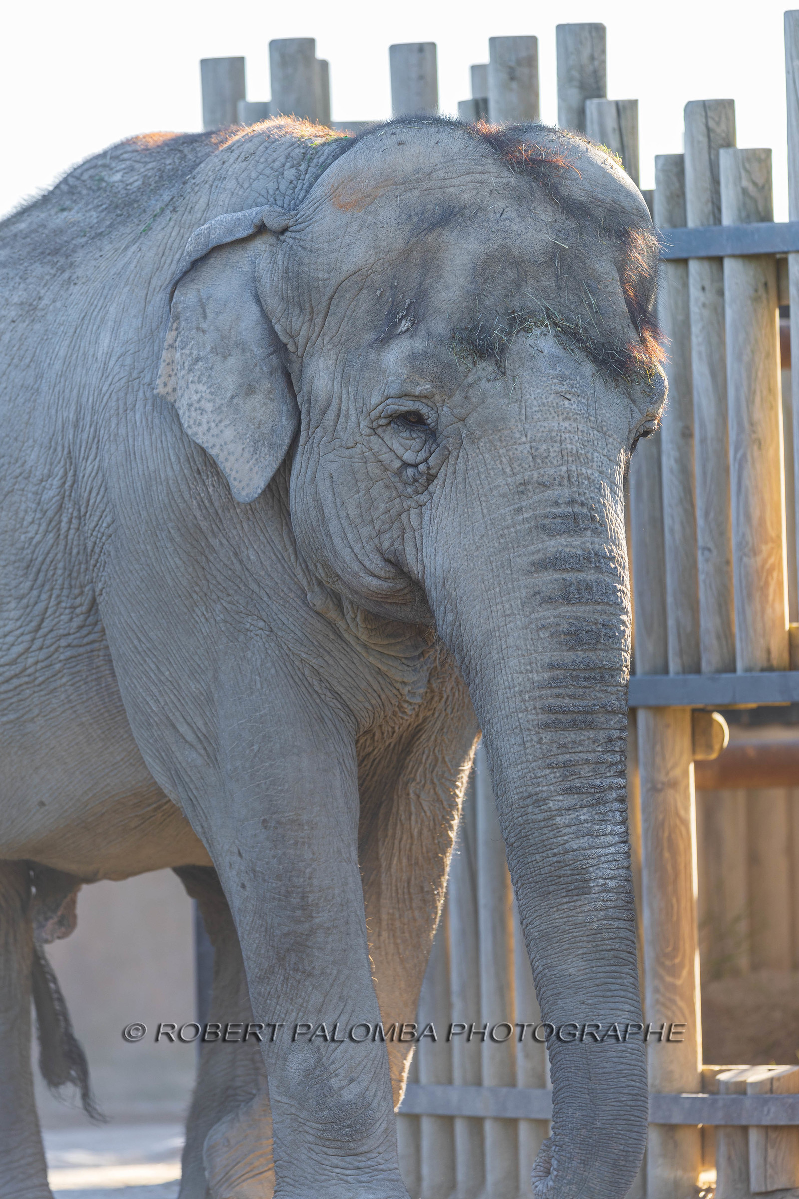 Parc animalier de la Barben