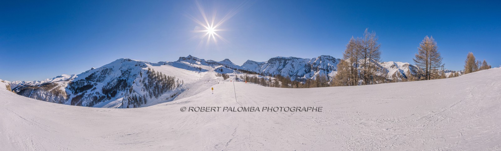 Auron