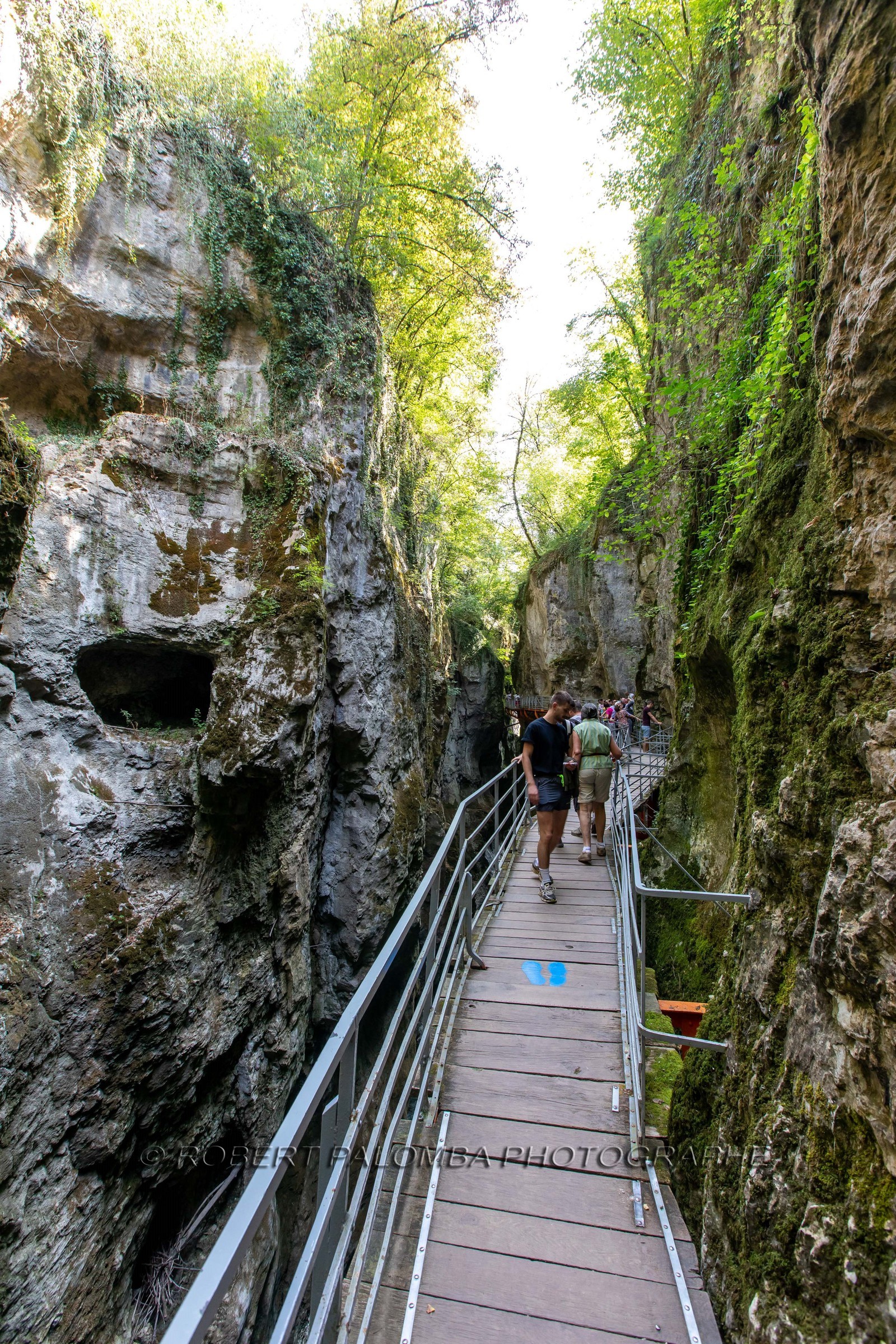 Gorges du Fier
