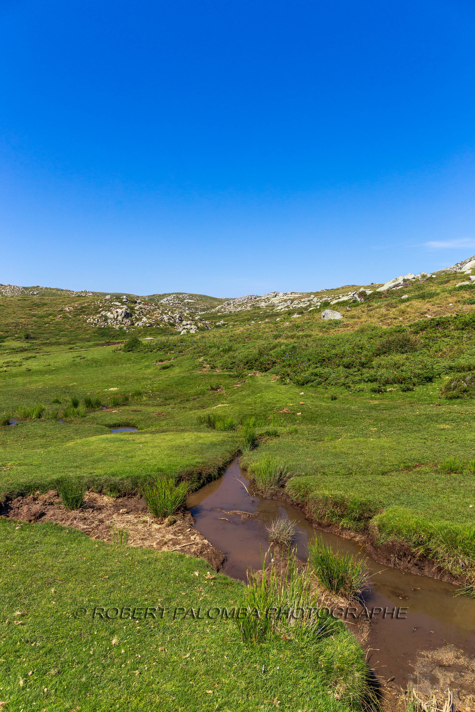 Plateau du Coscione