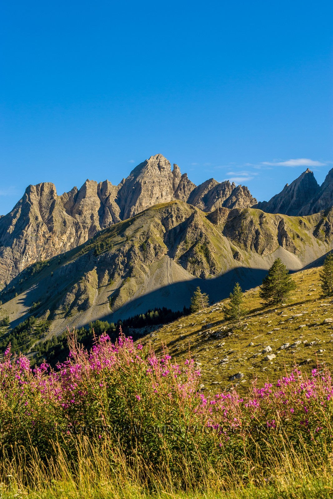 Col des Champs