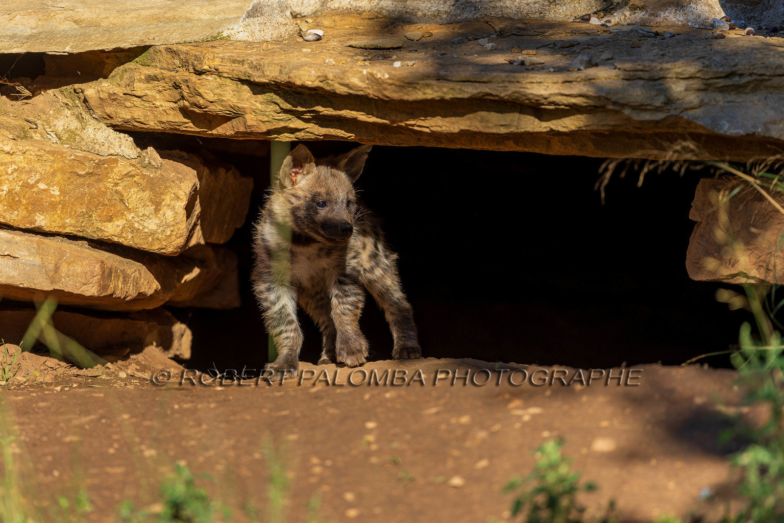 Parc animalier de la Barben