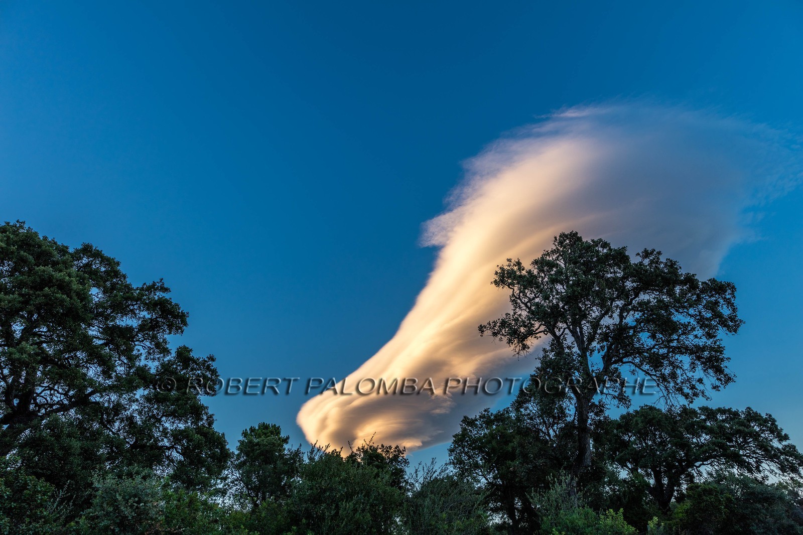 Lenticulaire