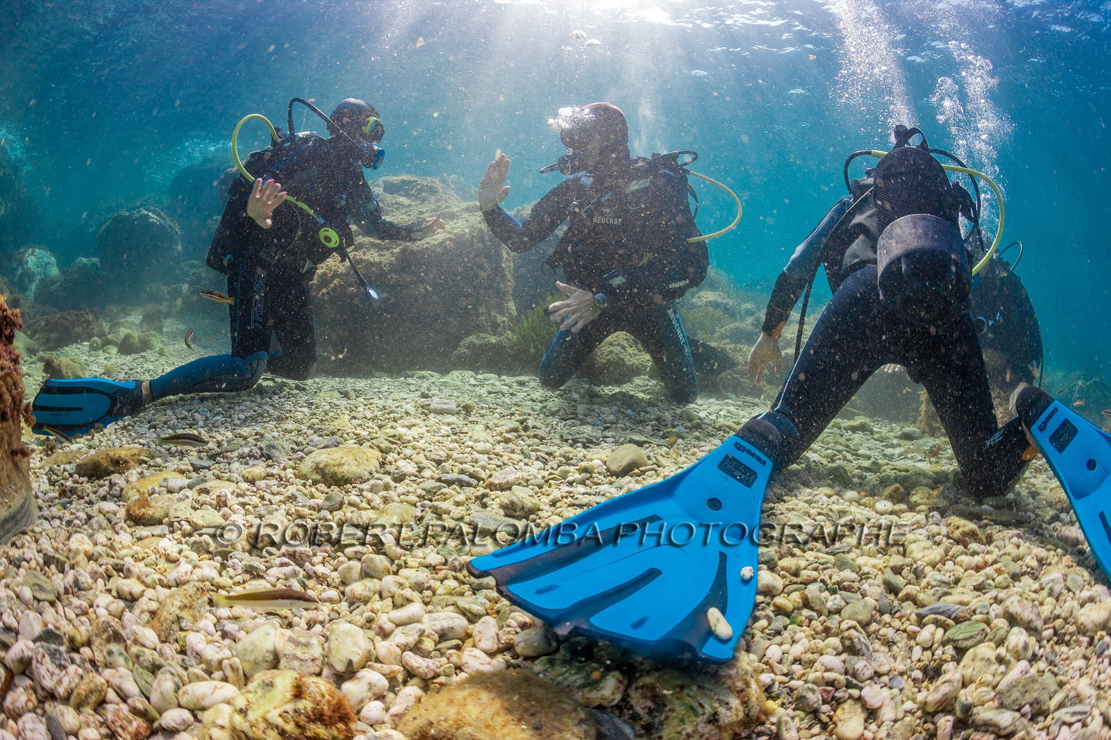 Plongée sous-marine