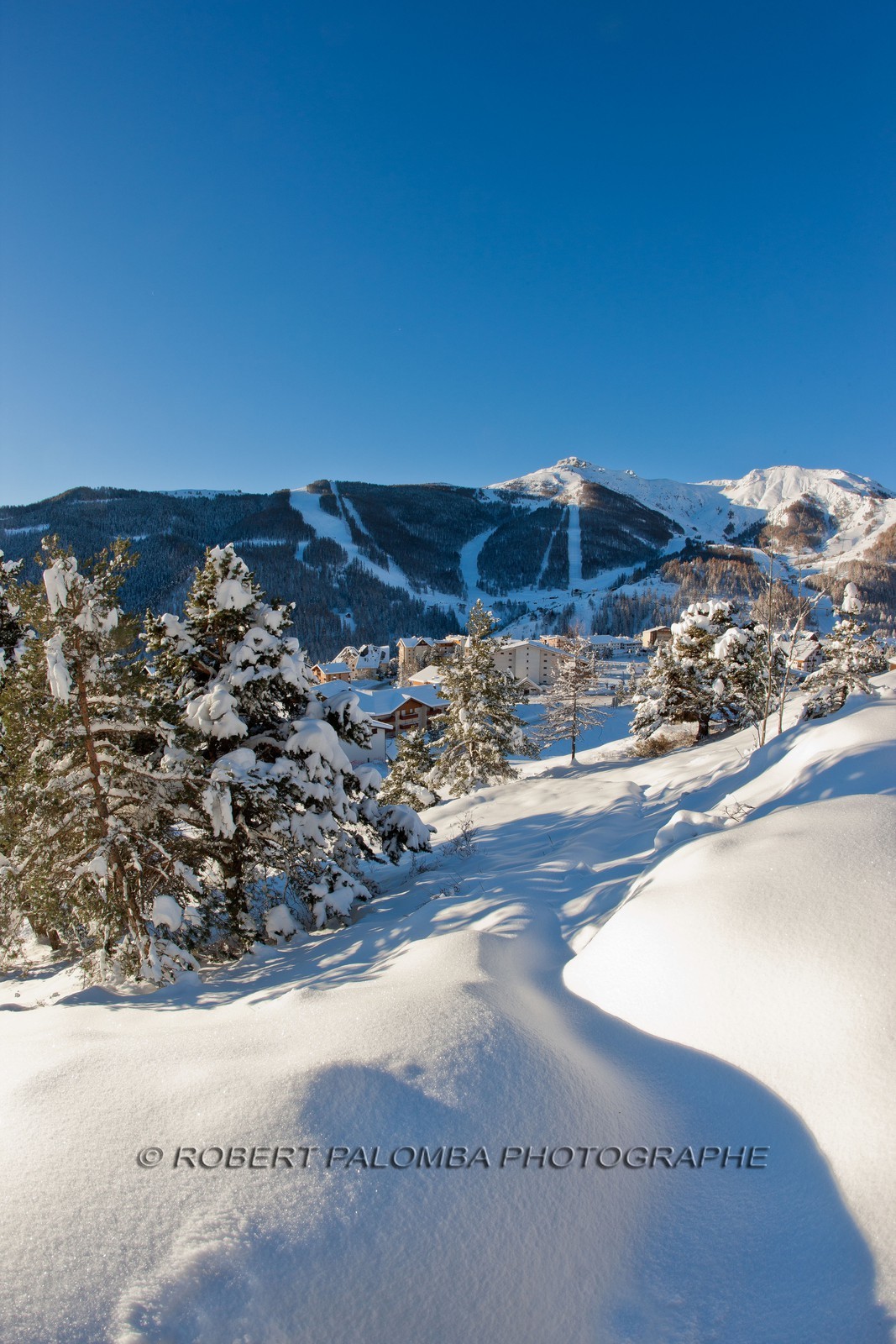 Auron