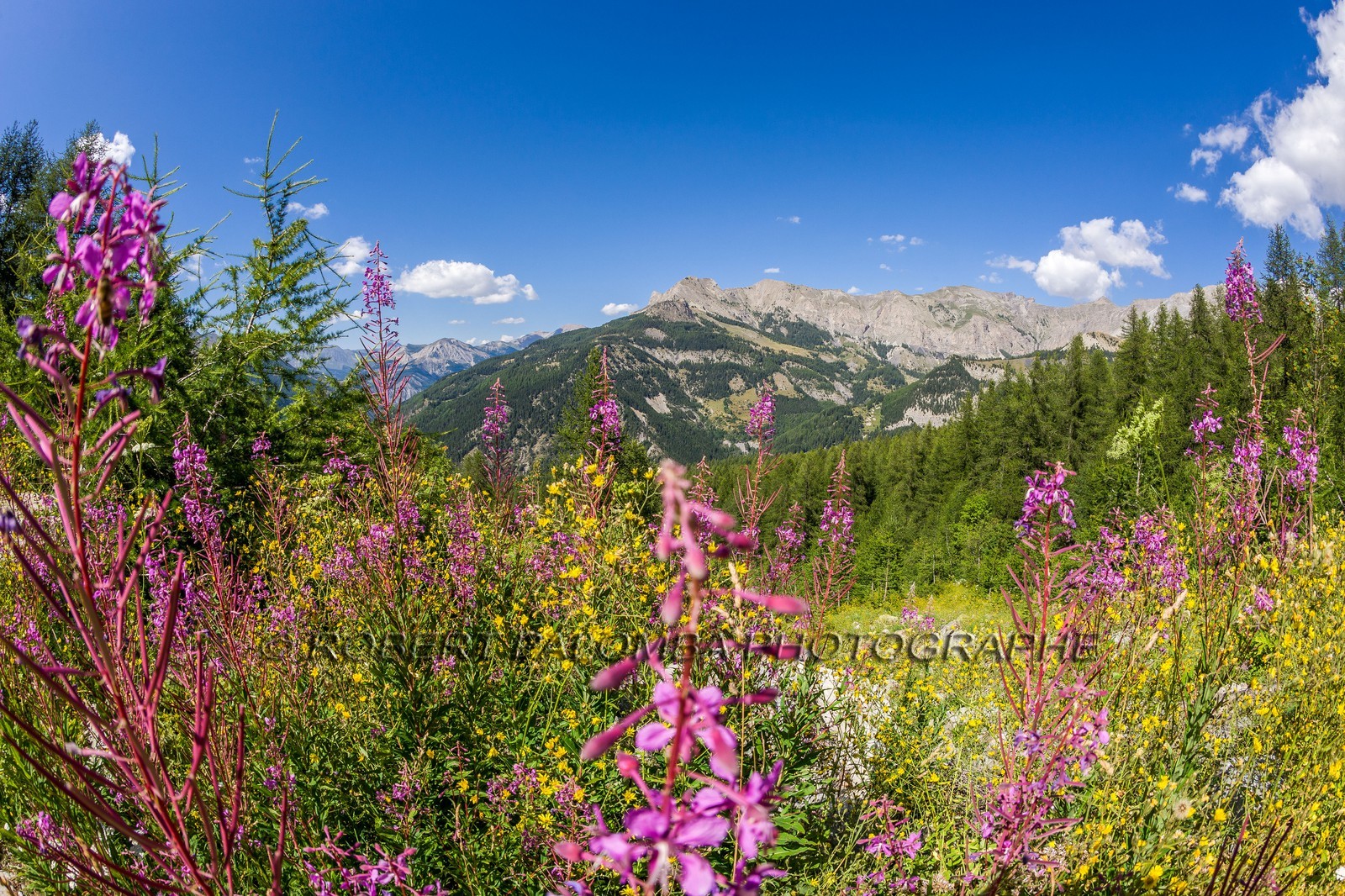 Col des Champs