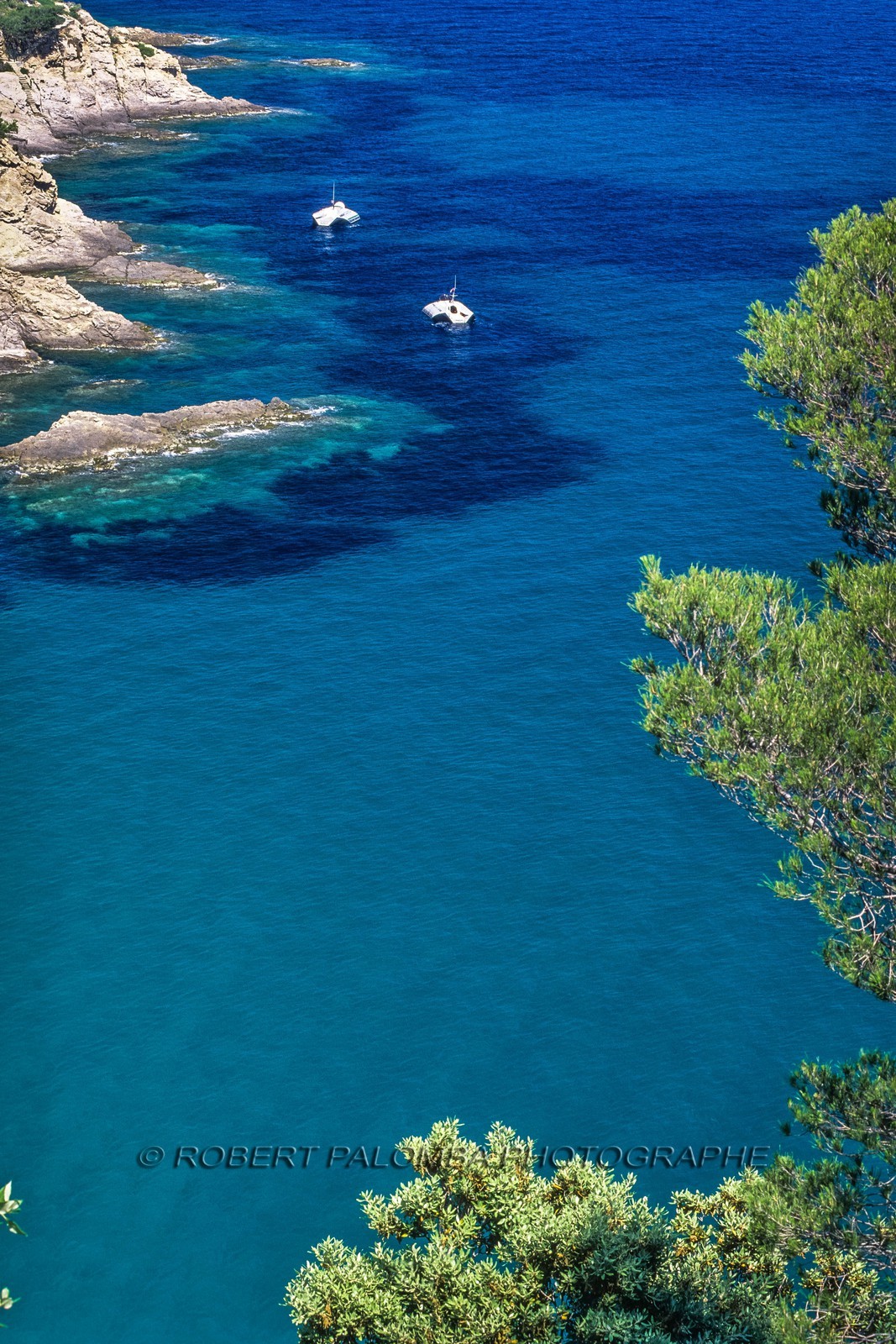 Cavalaire