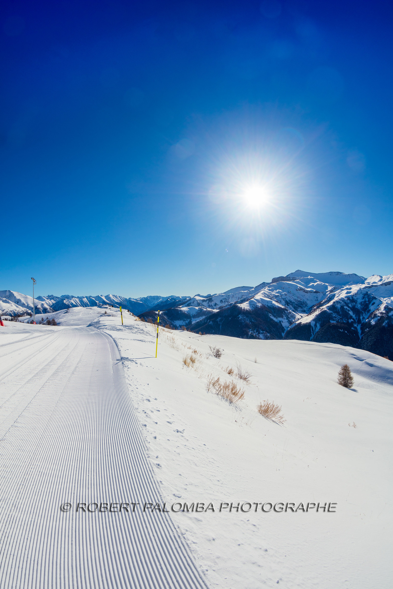 Auron