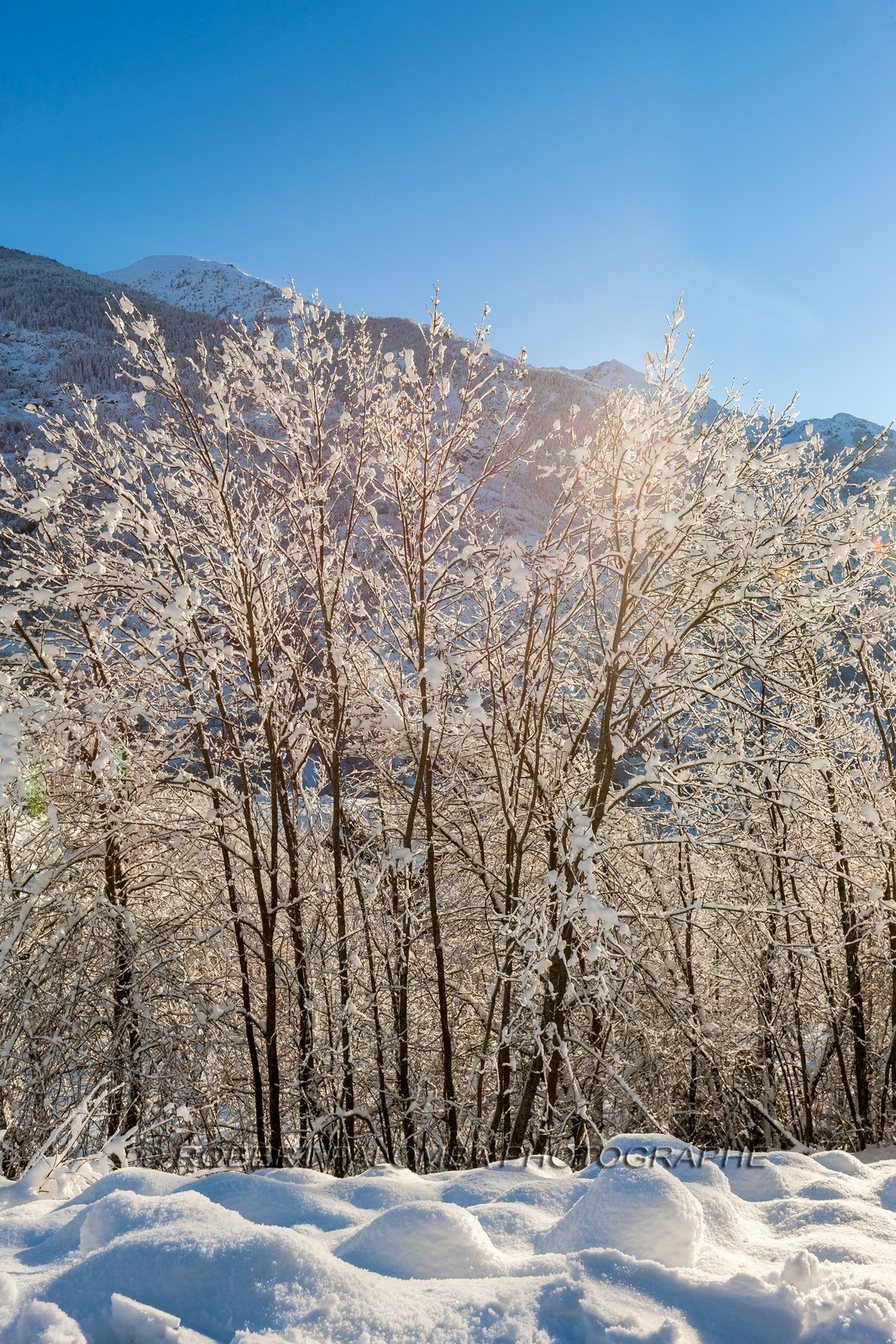 Auron