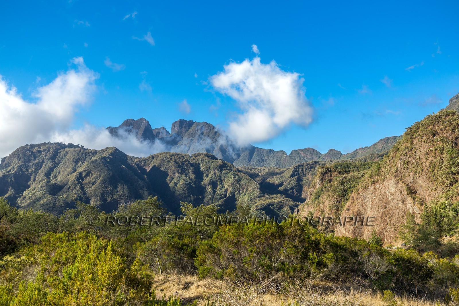 Ile de La Réunion