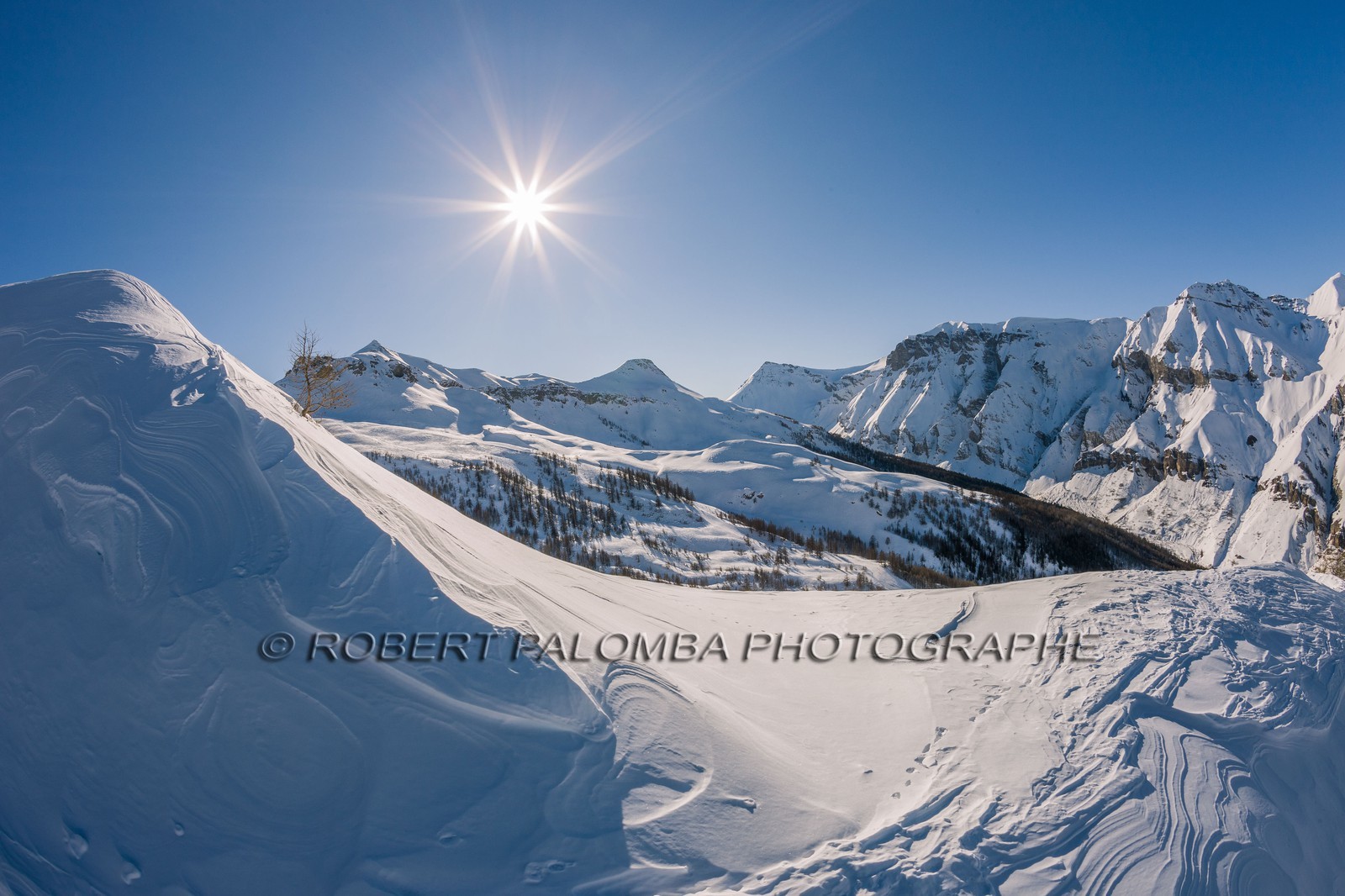 Auron