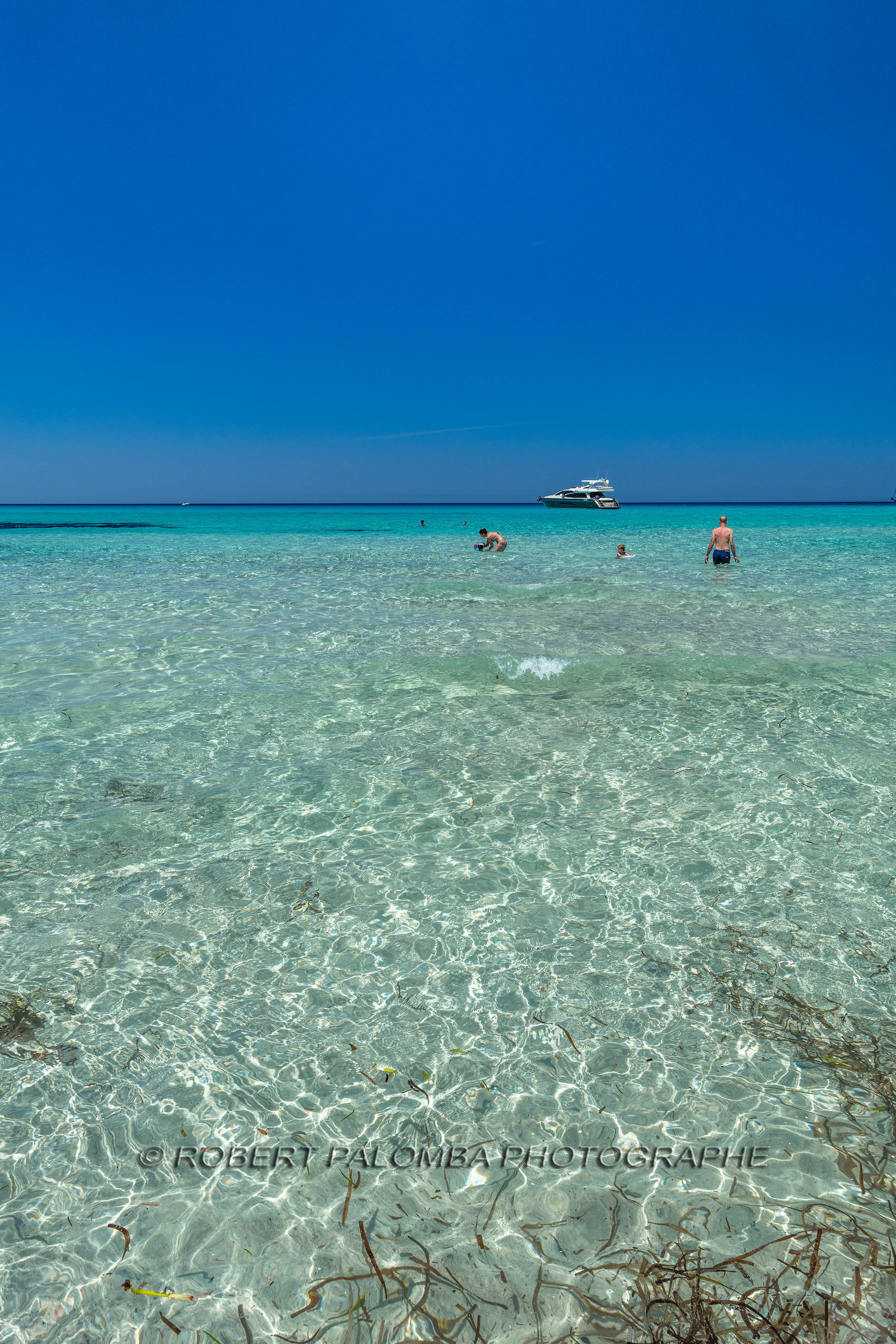 Saleccia