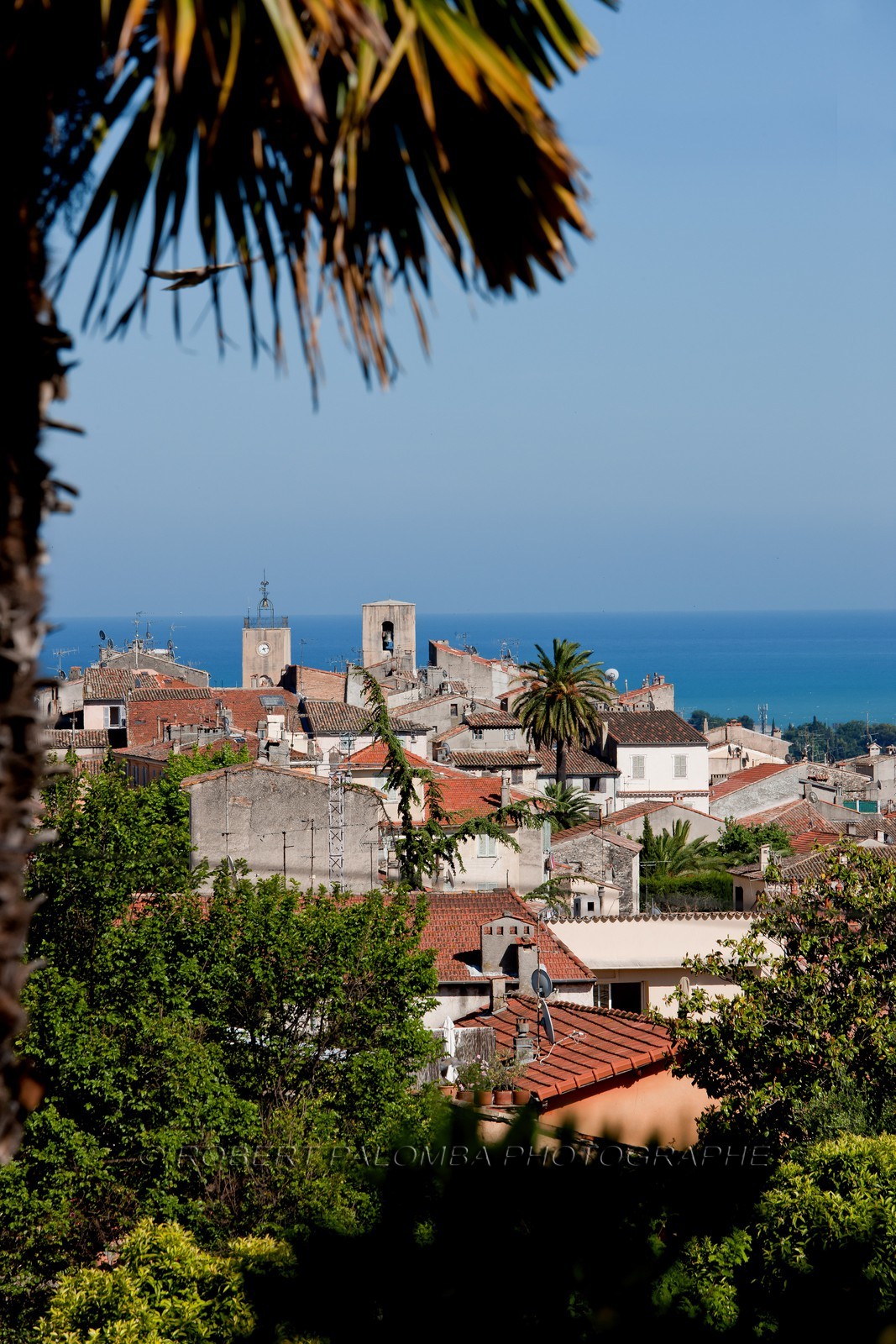 Biot