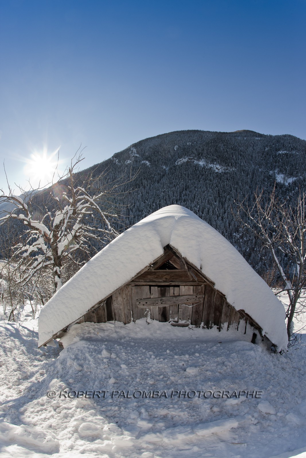 Auron