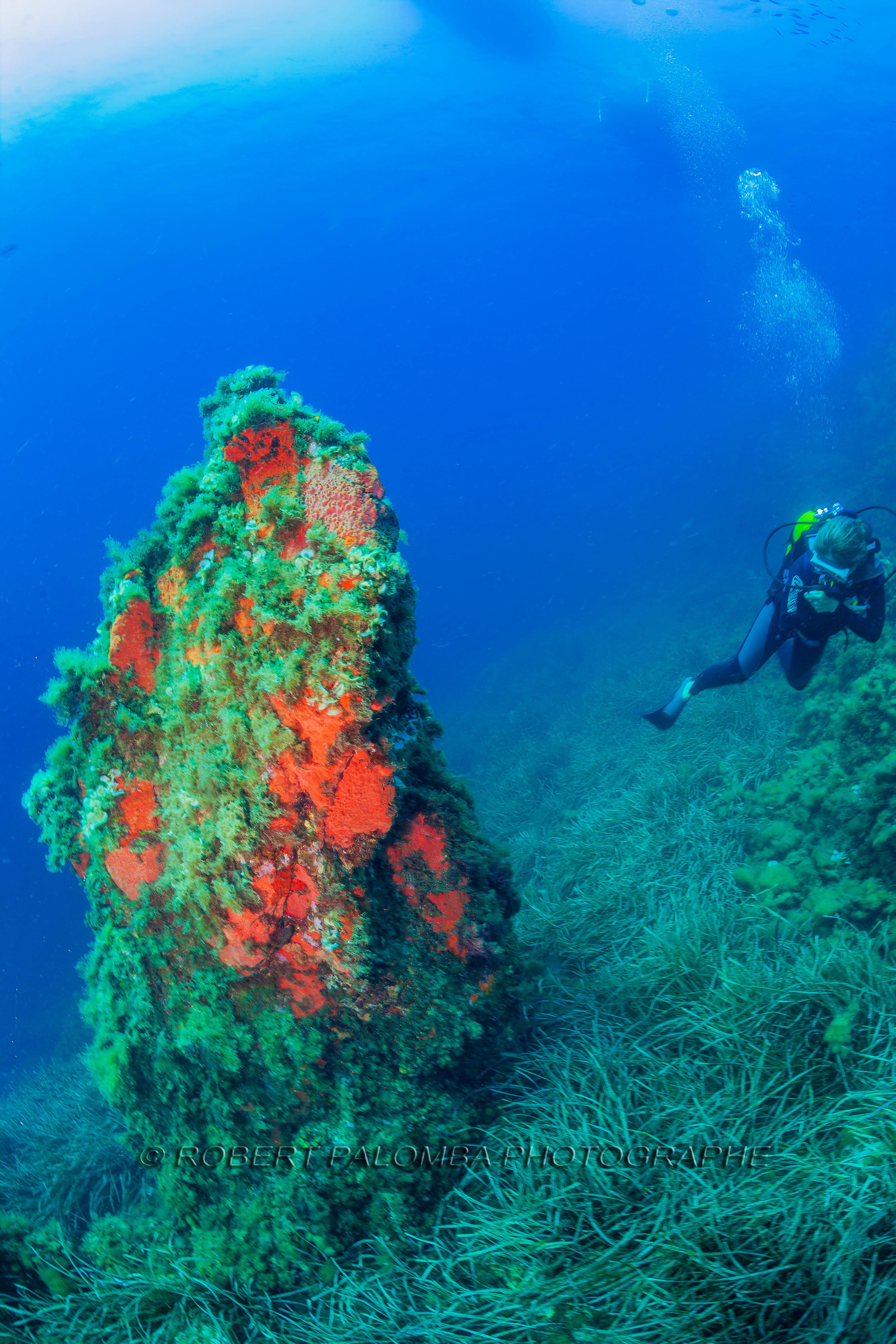 Plongée-sous-marine
