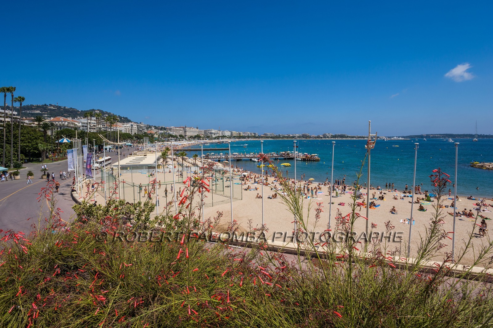 Cannes