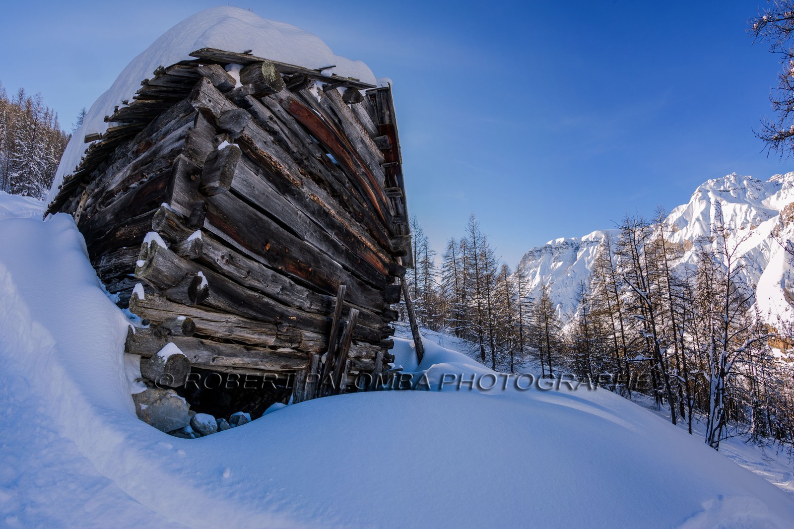 Auron