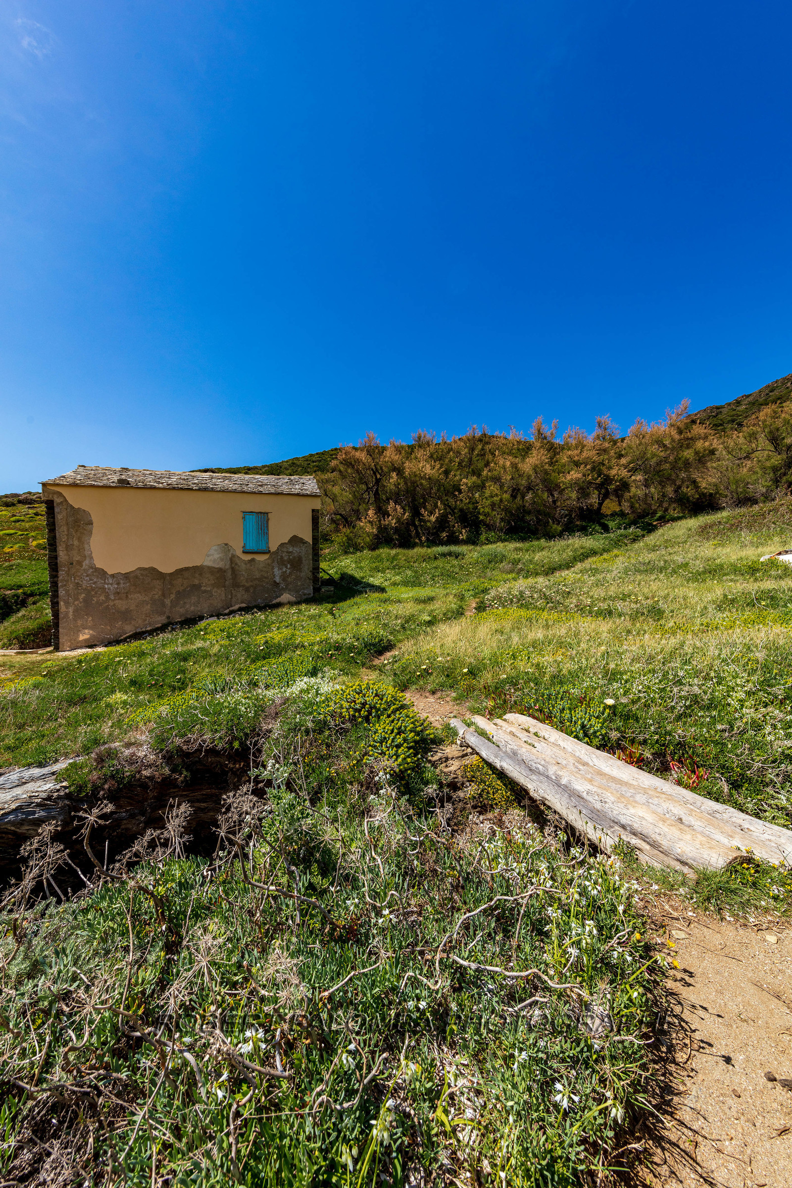 Aliso