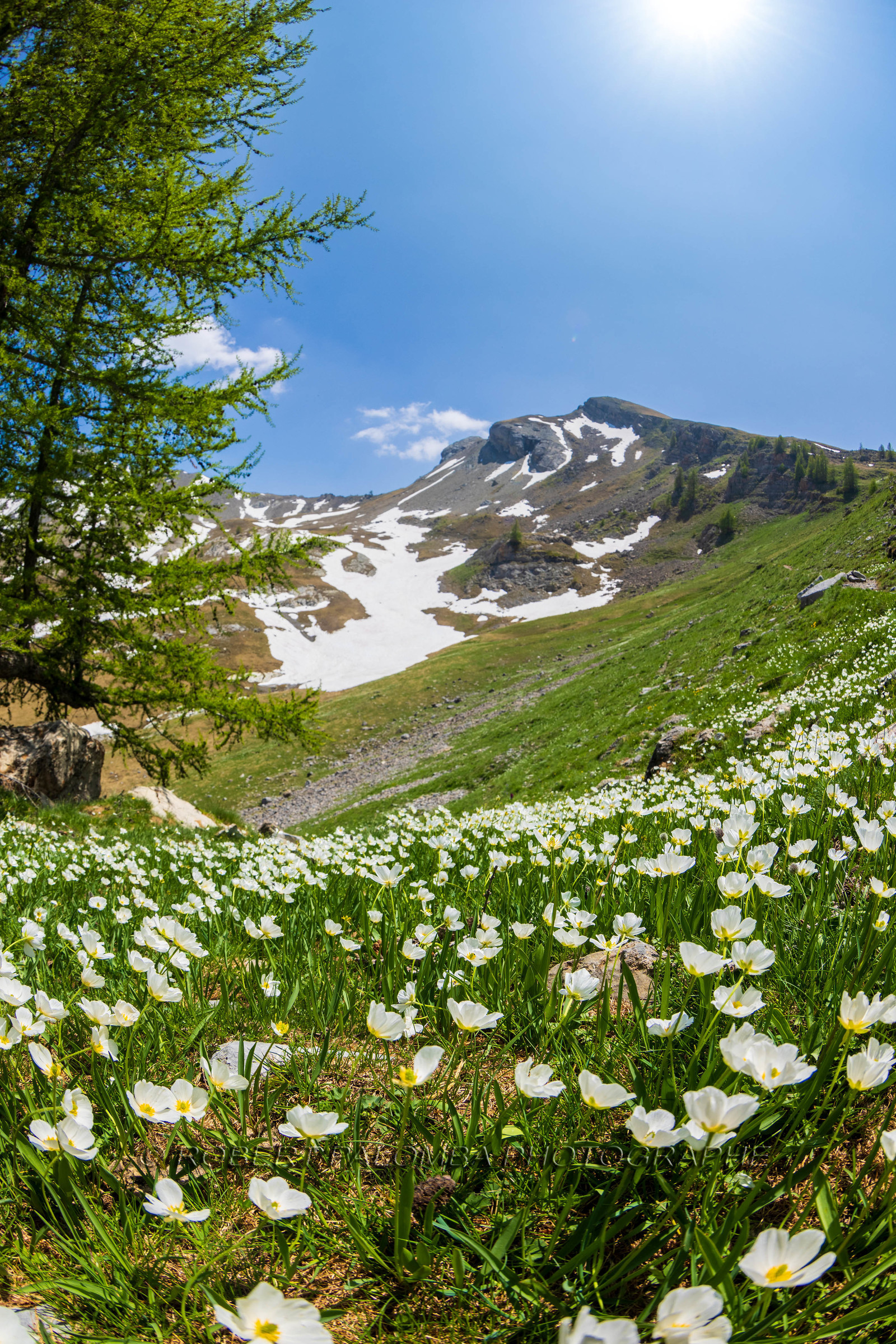 Lac d'Allos