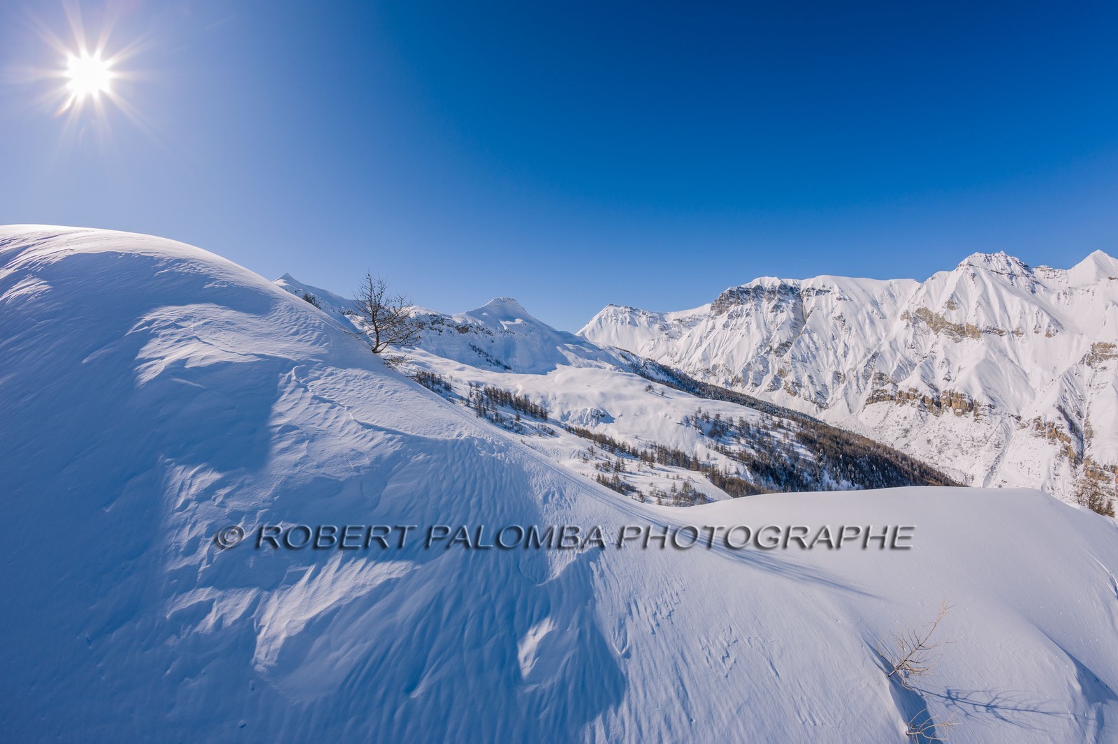 Auron