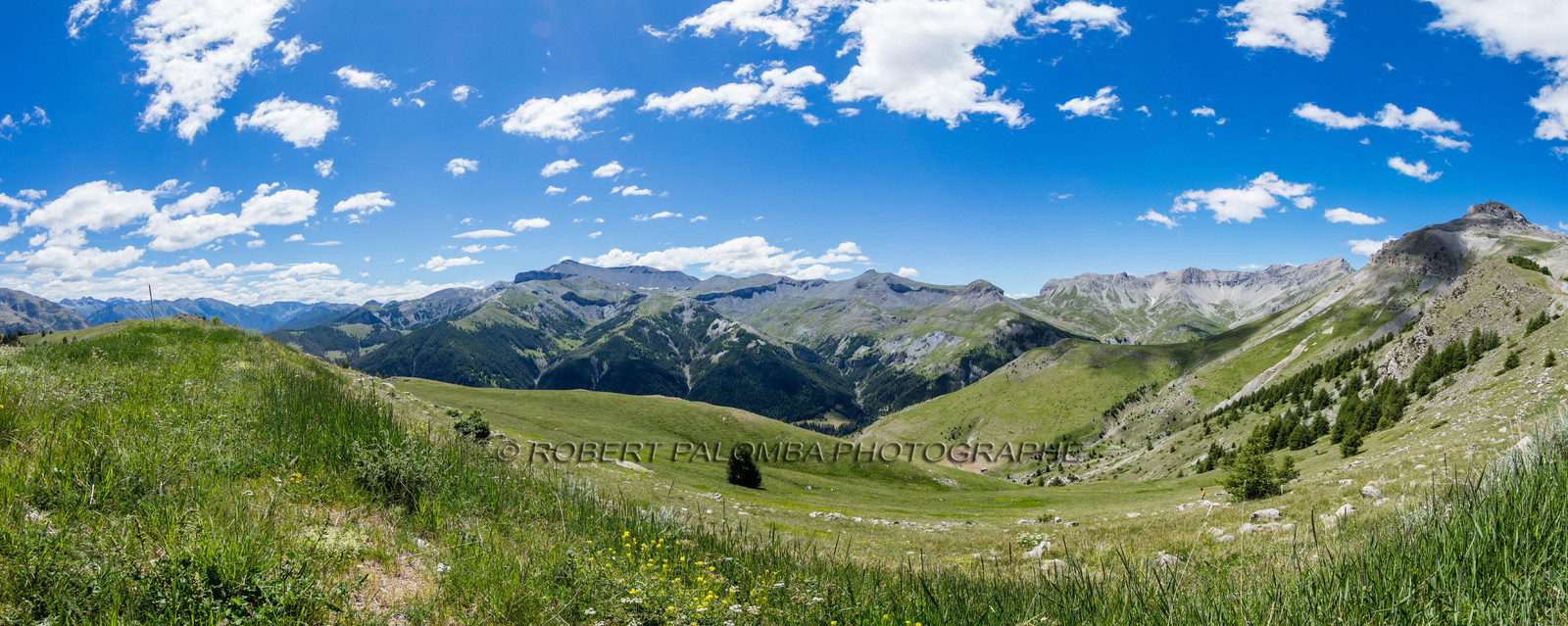 Auron