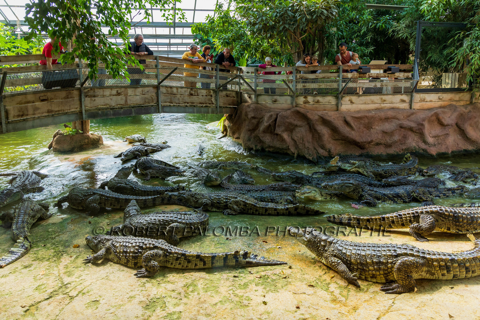 La Ferme aux crocodiles