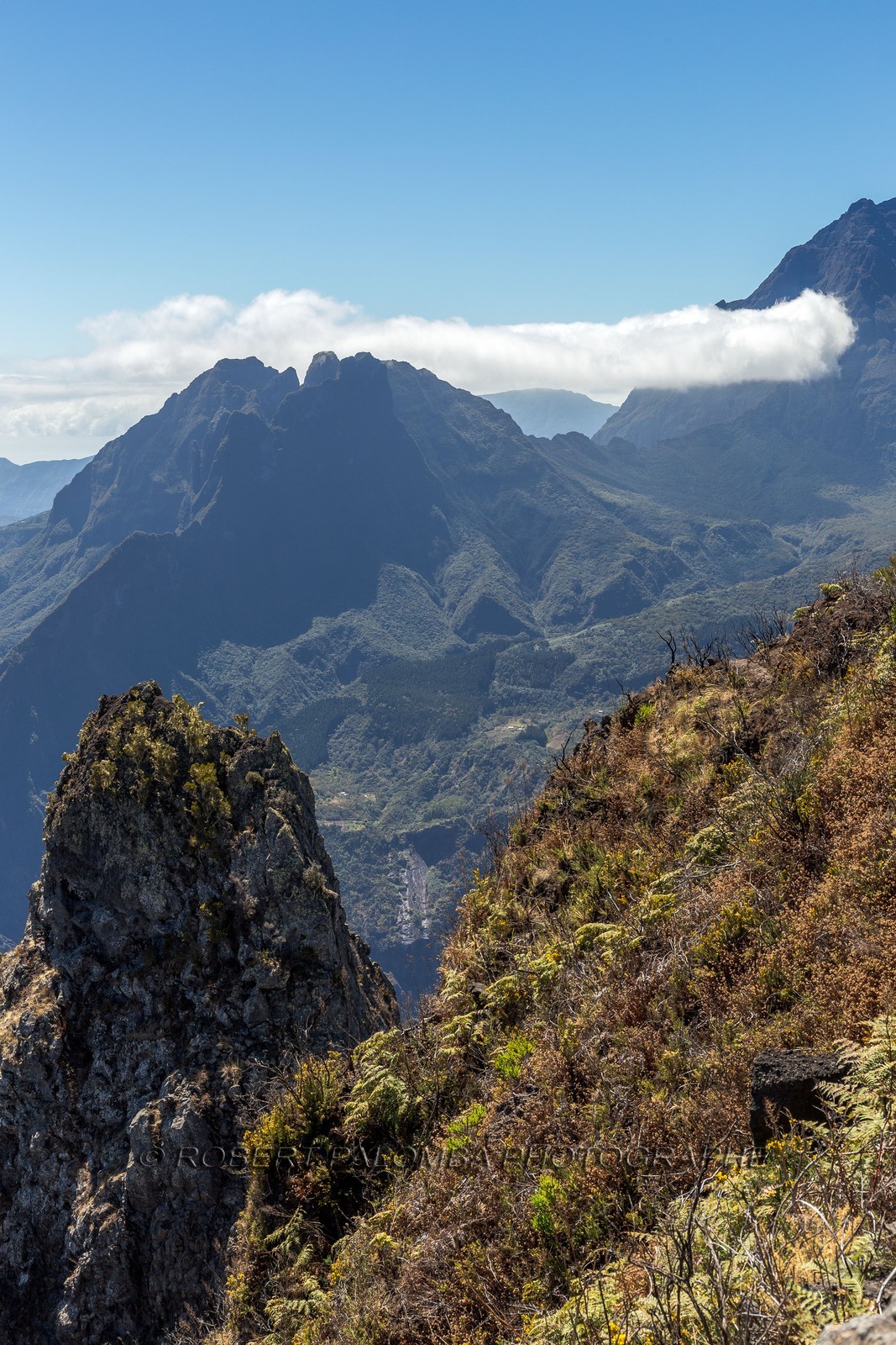 Piton Maïdo