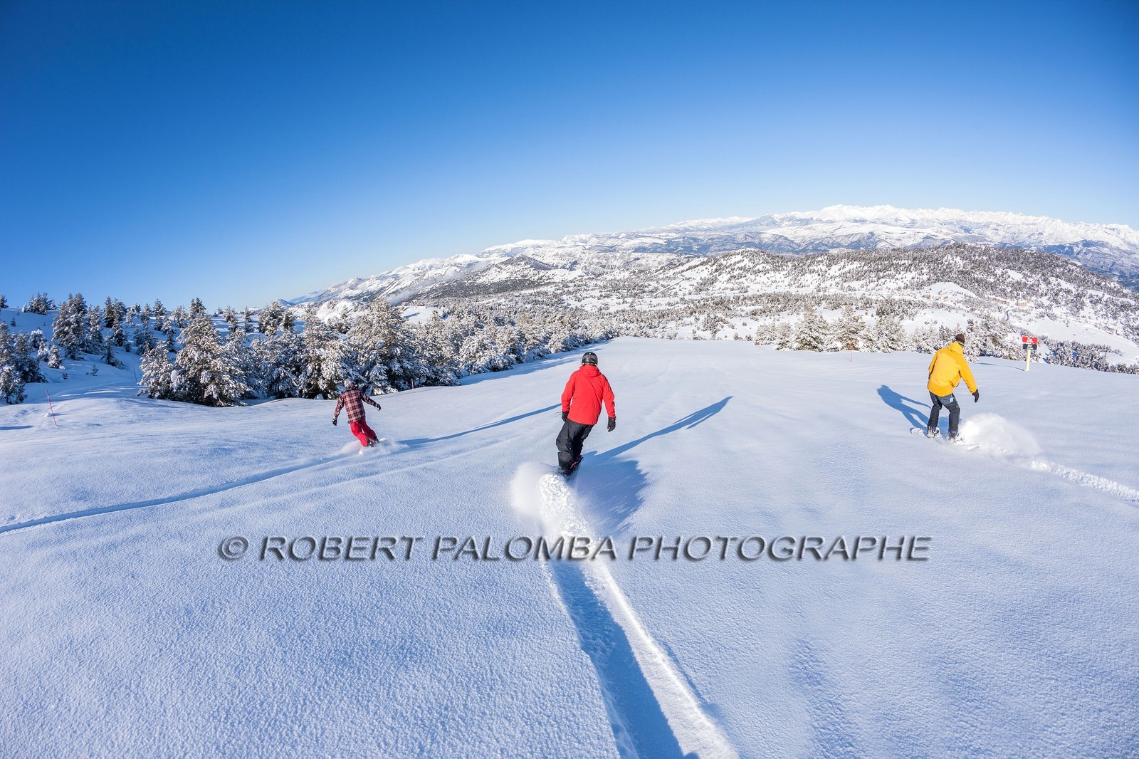 Snowboard