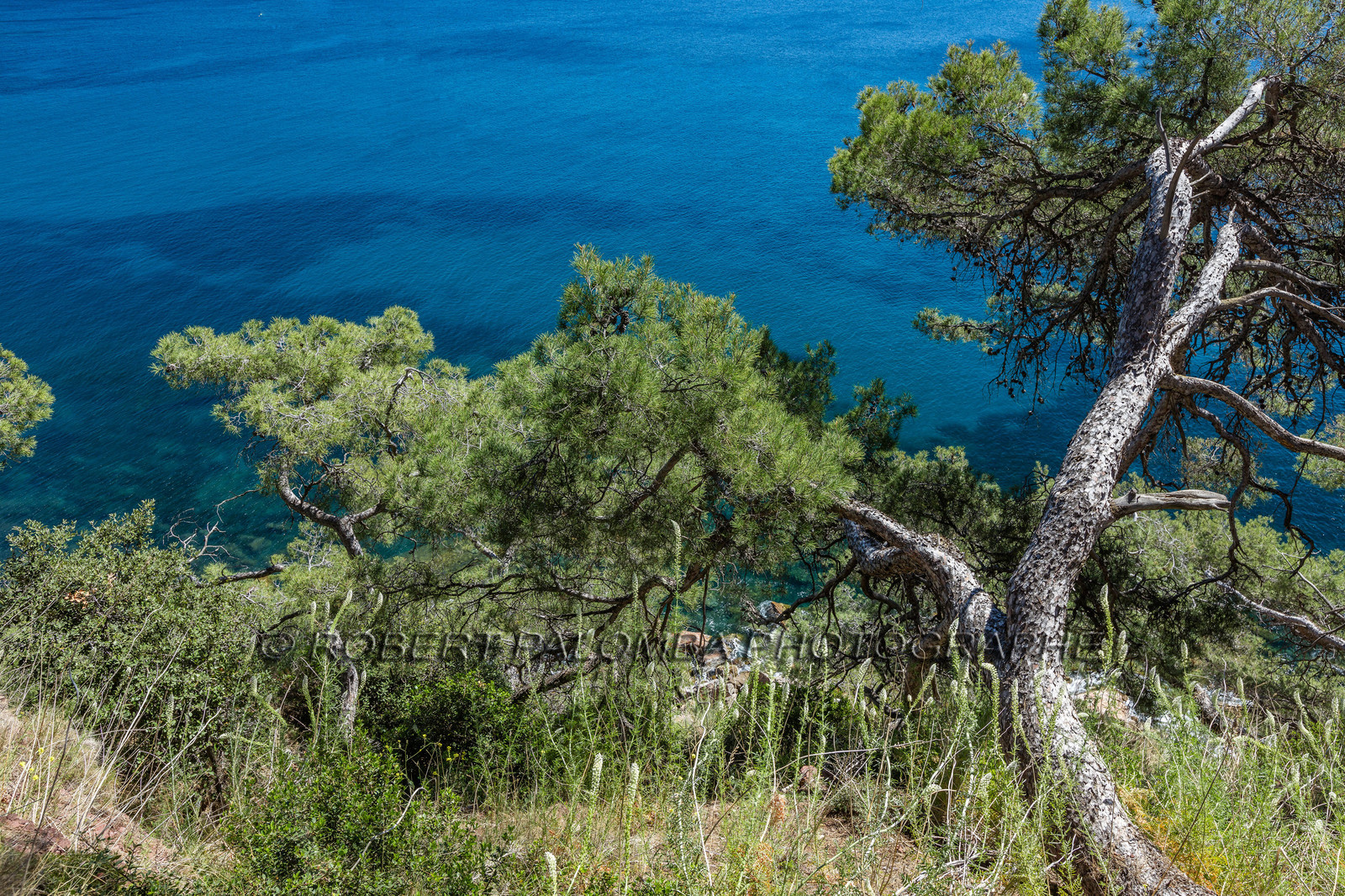 Plage de Fabrégas