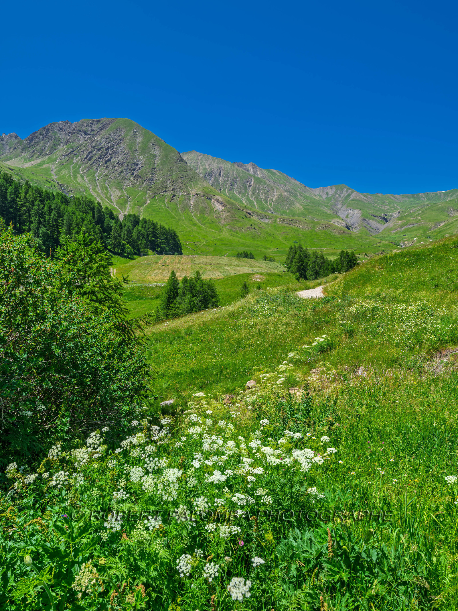 La Foux d'Allos