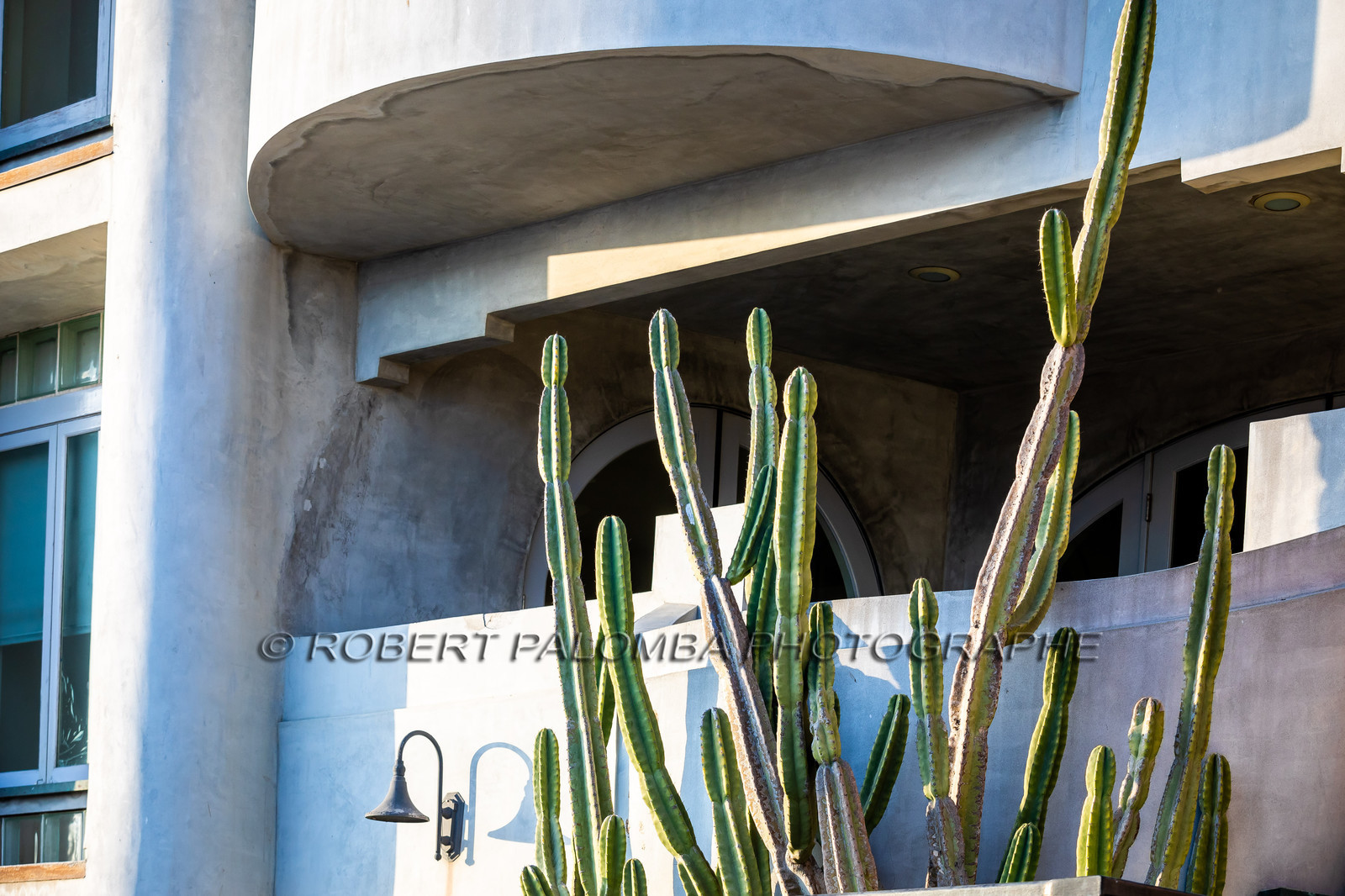 Etats-Unis, Californie-du-Sud, Los Angeles, Venice, Venice Beach