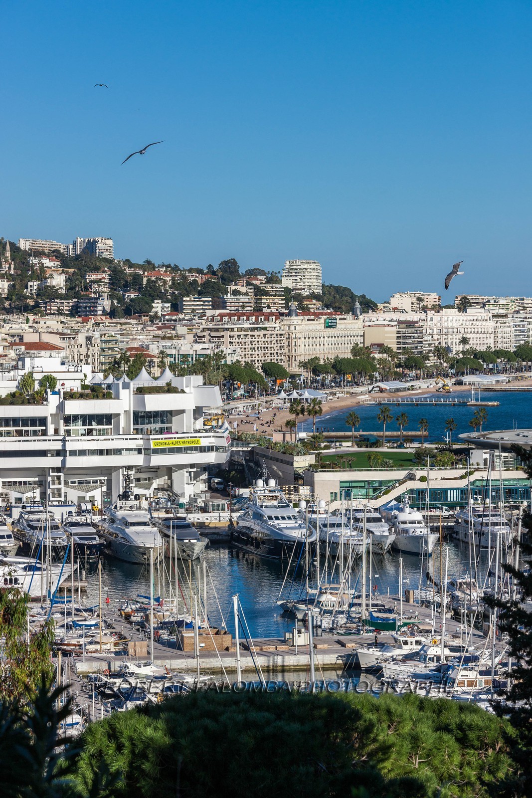 Cannes