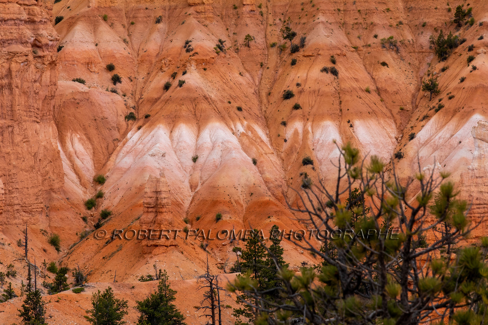 Bryce Canyon