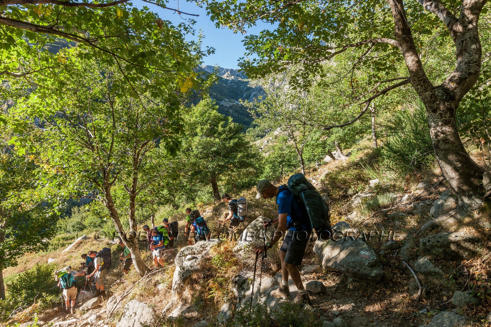 GR 20 Sud