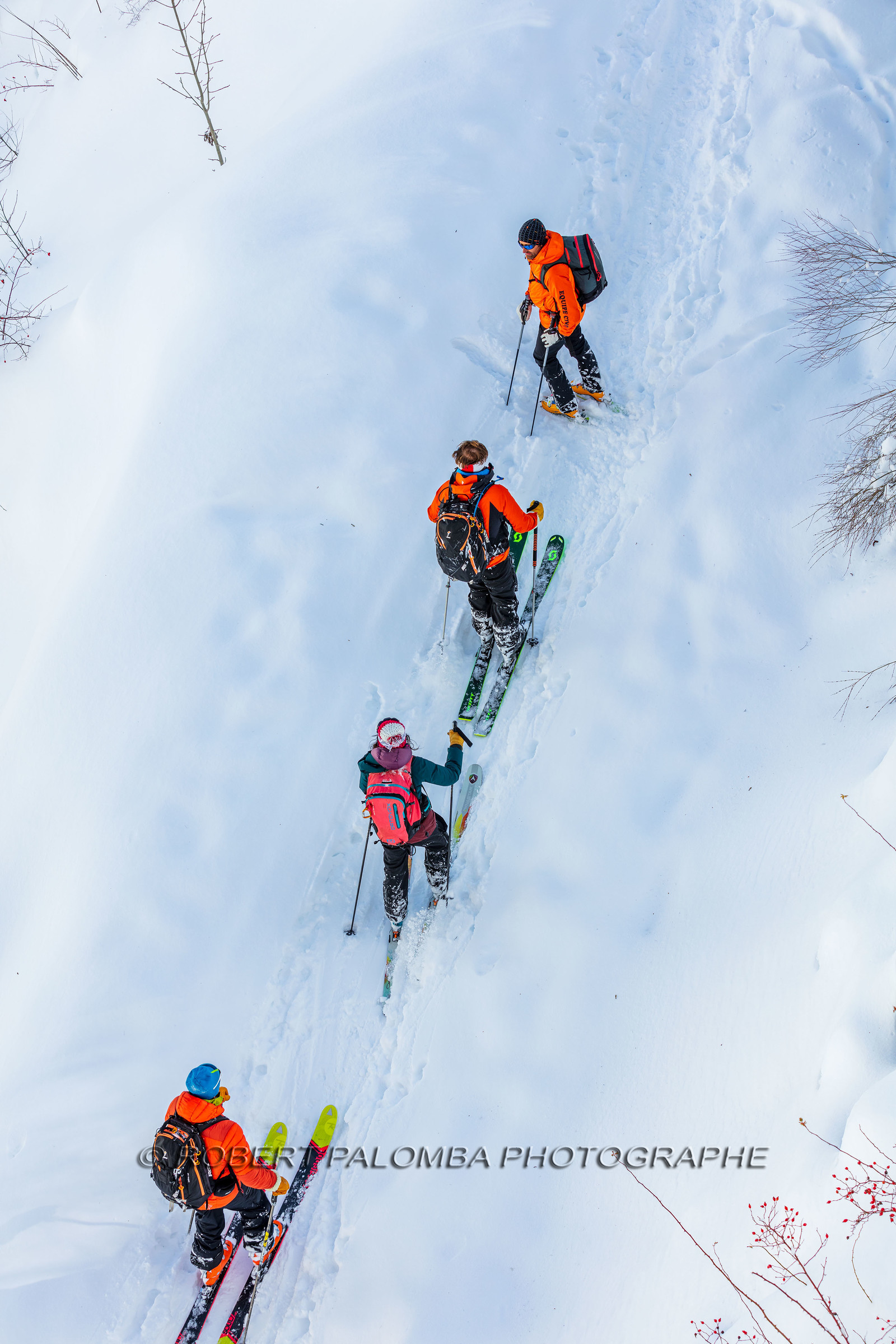 Ski de randonnée