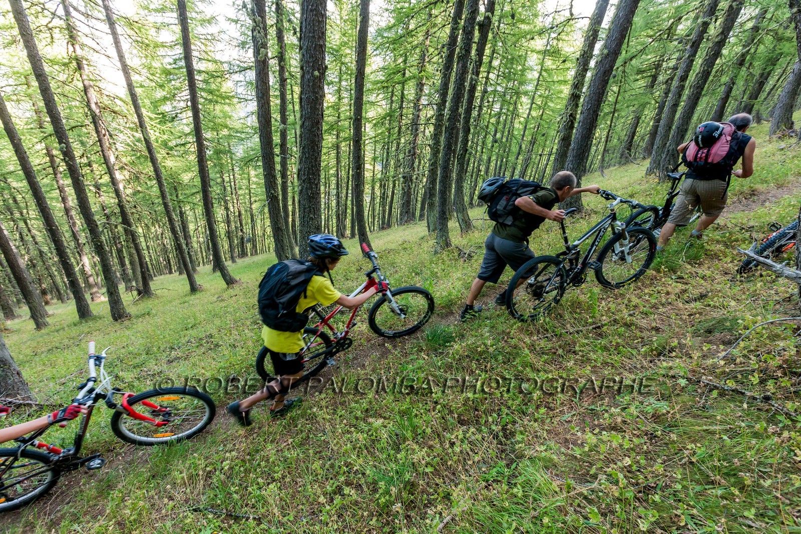 Rando Vtt Lacs de Lignin Rando Vtt Lacs de Lignin