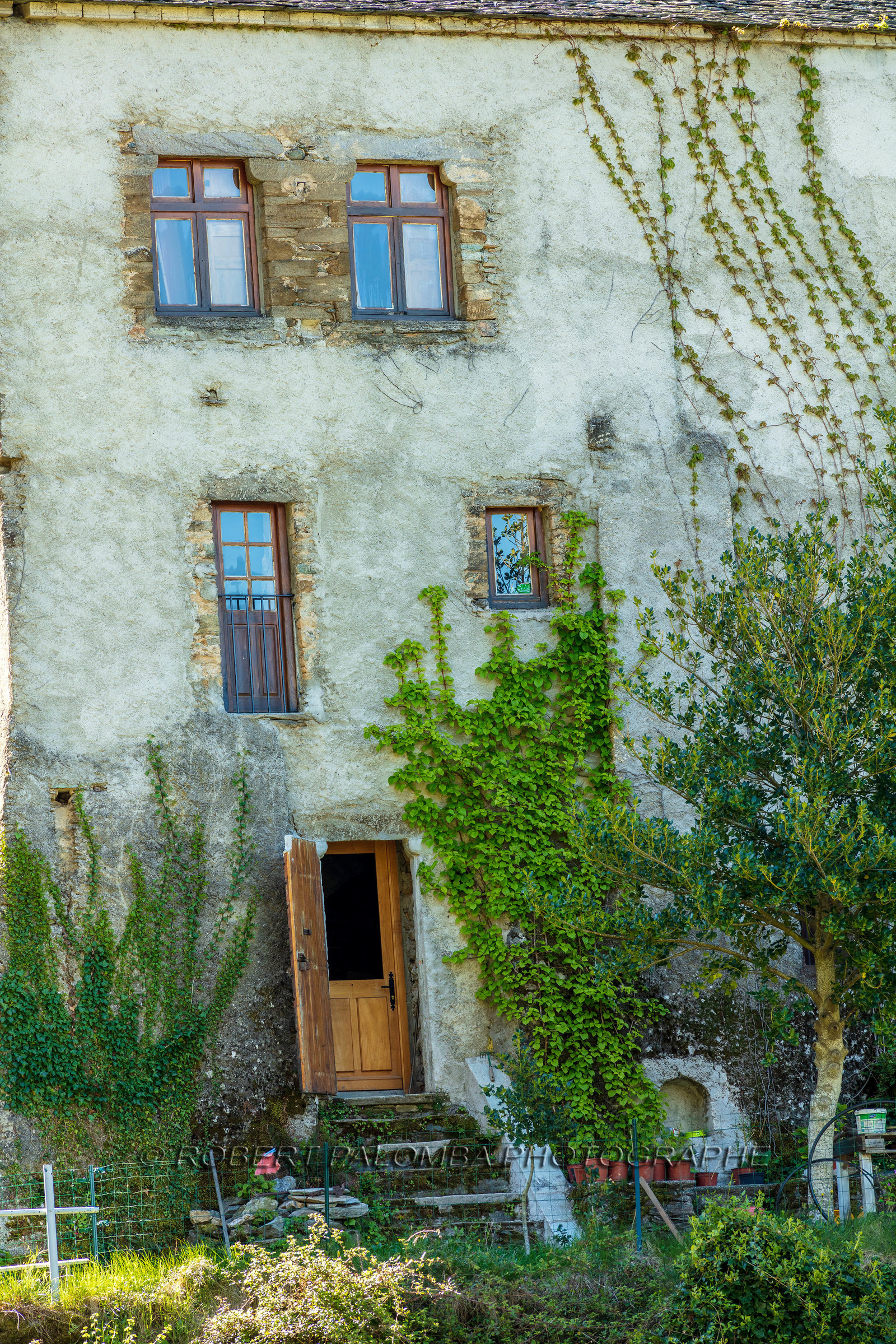 Saliceto
