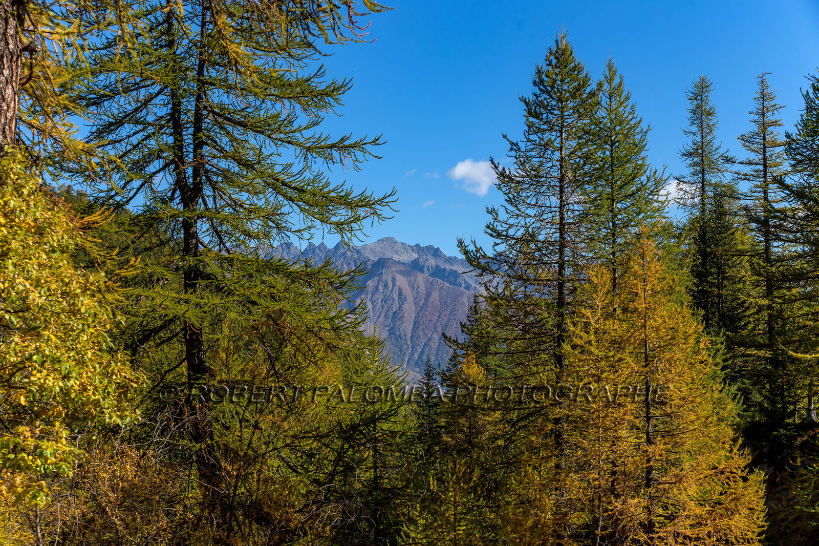 Col de la Moutière