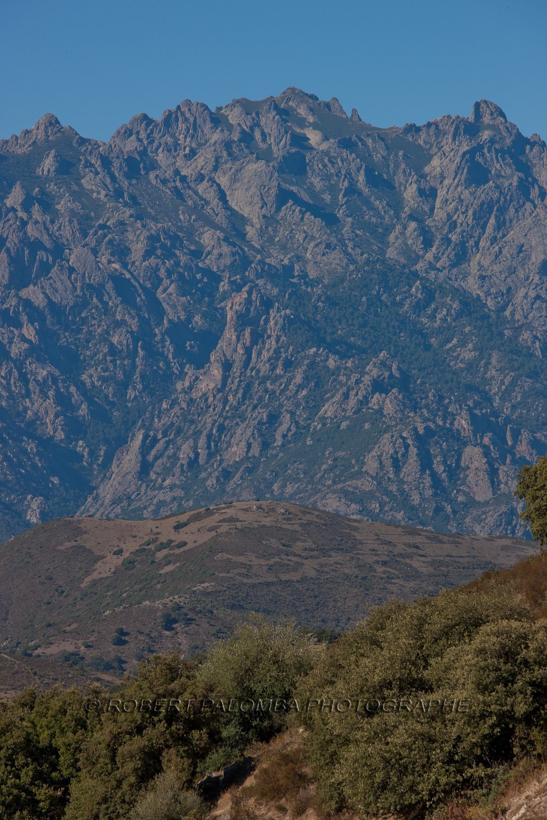 Popolasca