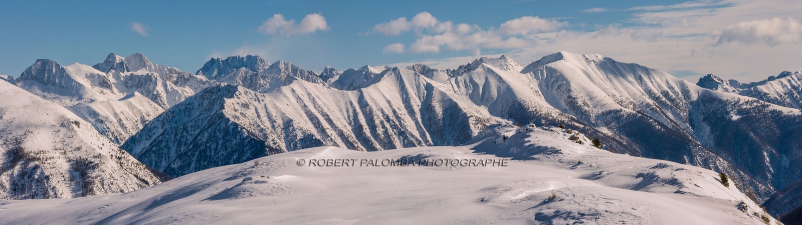 Auron