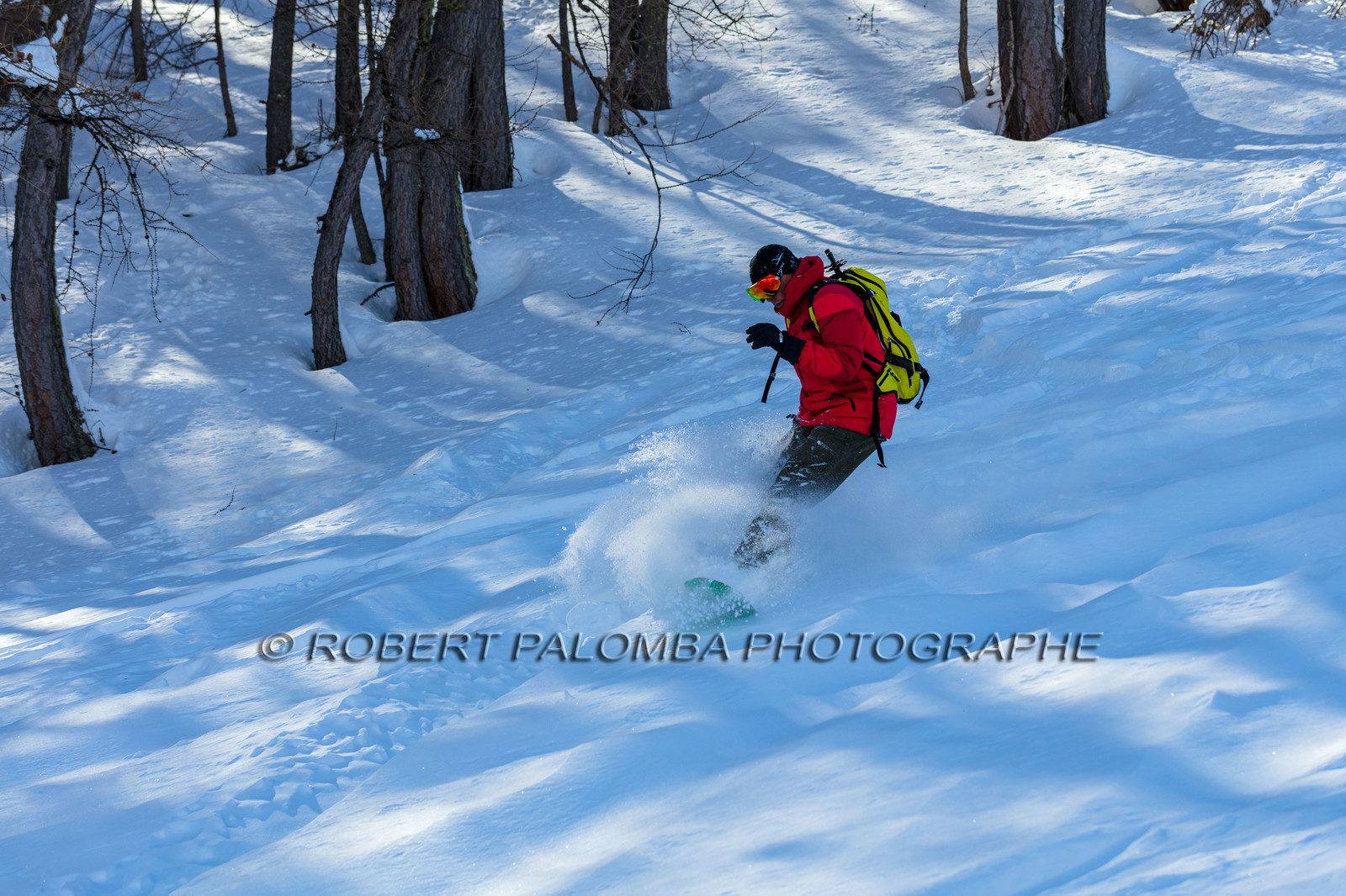 Snowboard