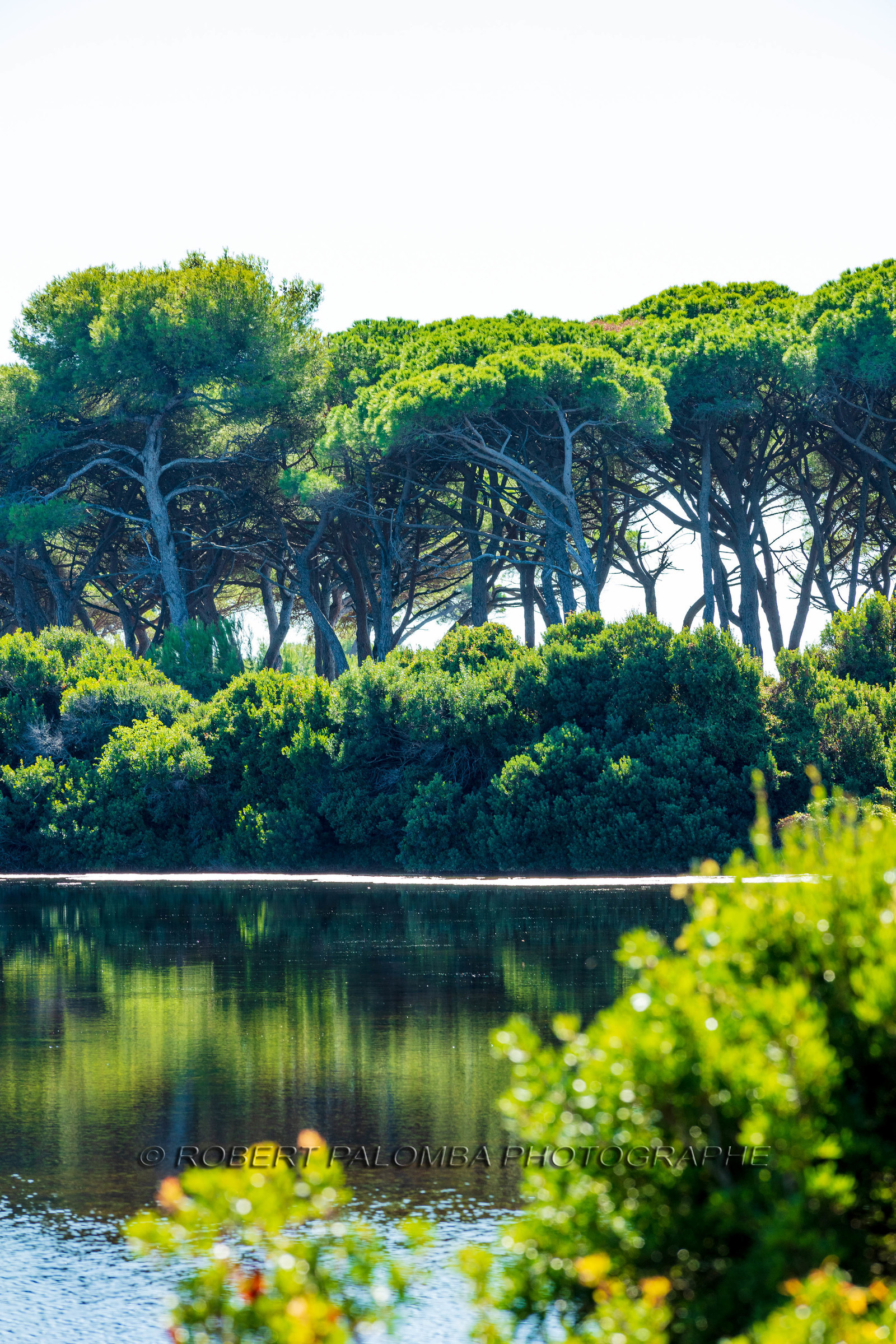 Lérins, Sainte-Marguerite