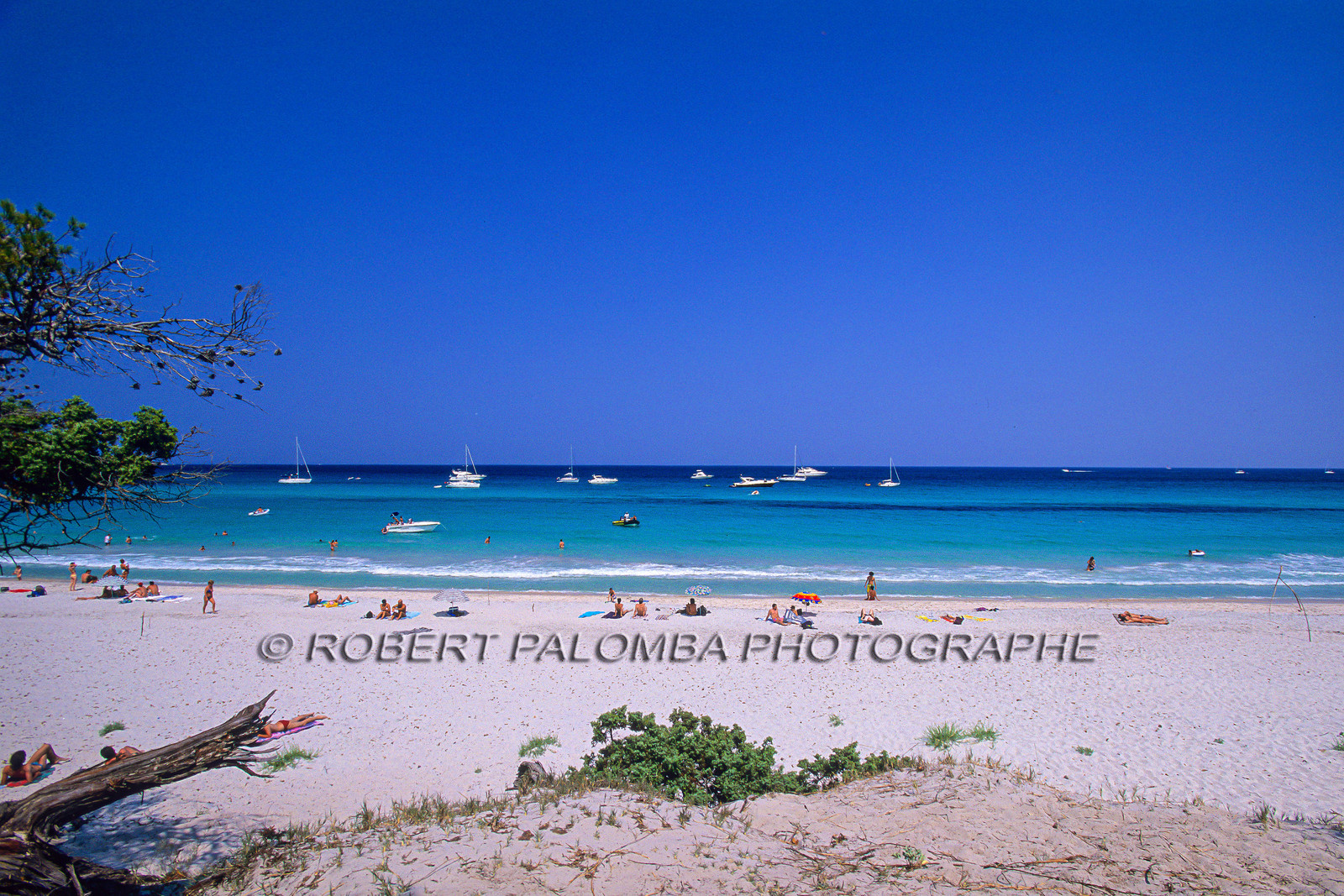 Saleccia