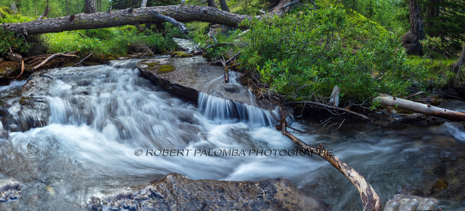 Torrent