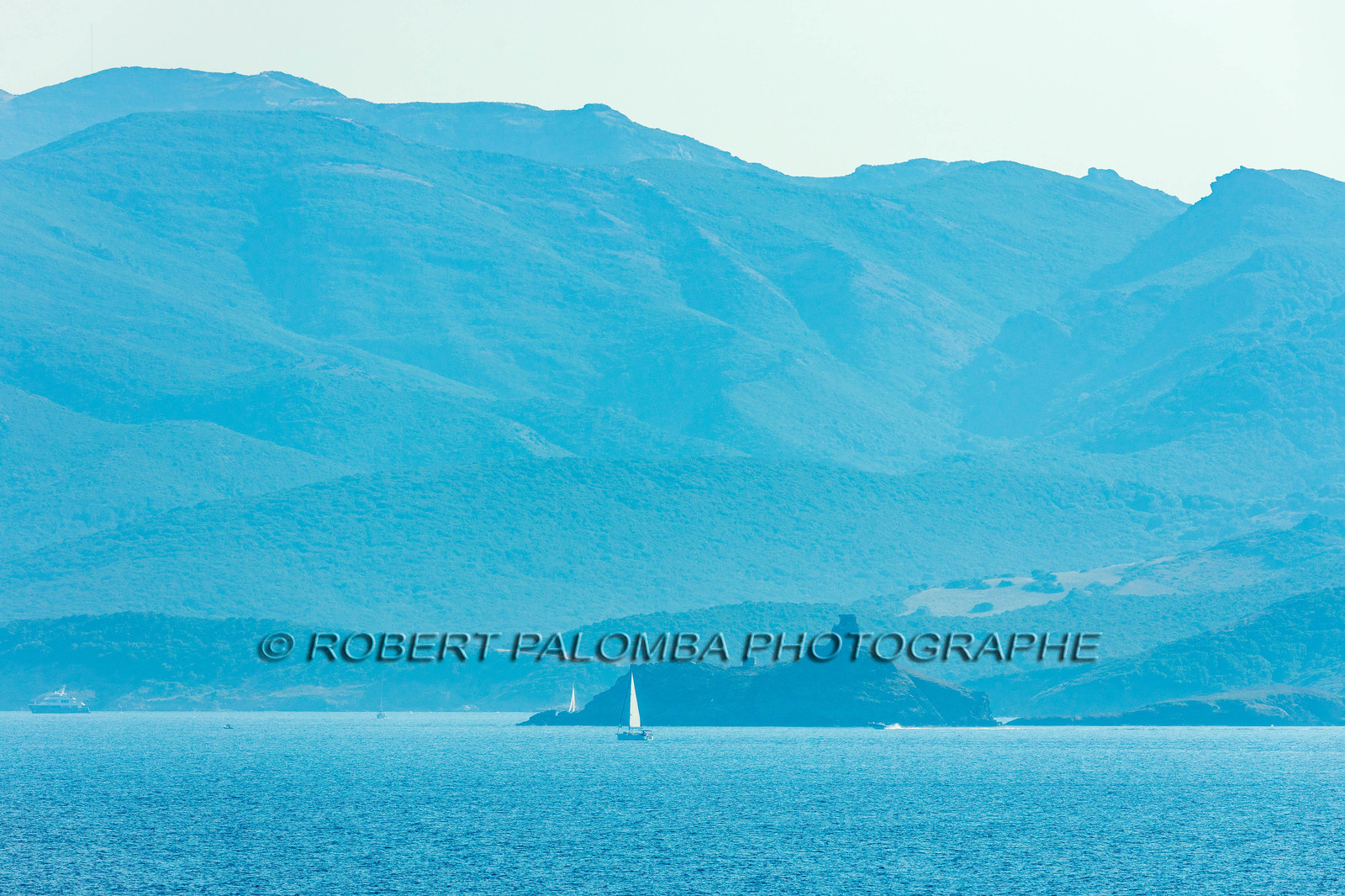 Finocchiarola