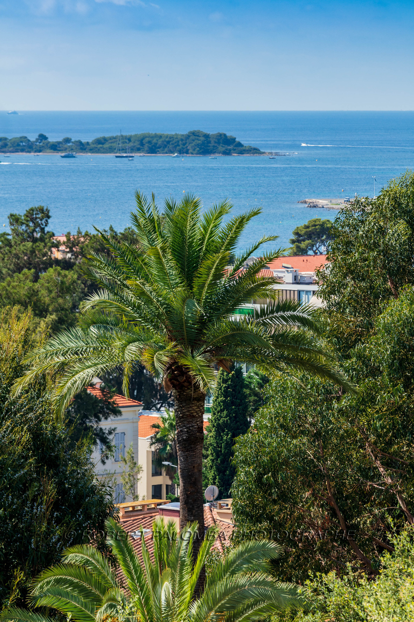 Cannes