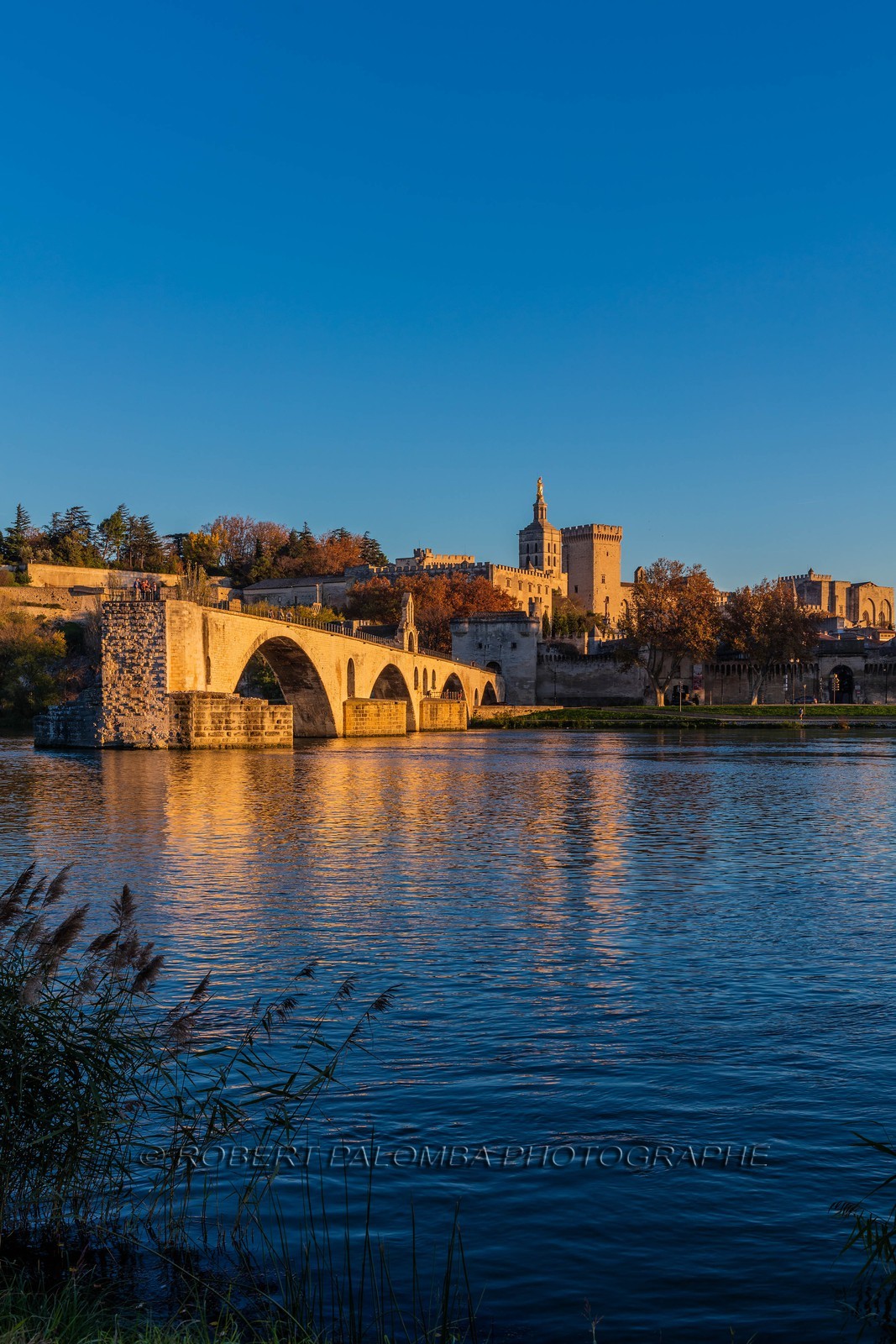Avignon