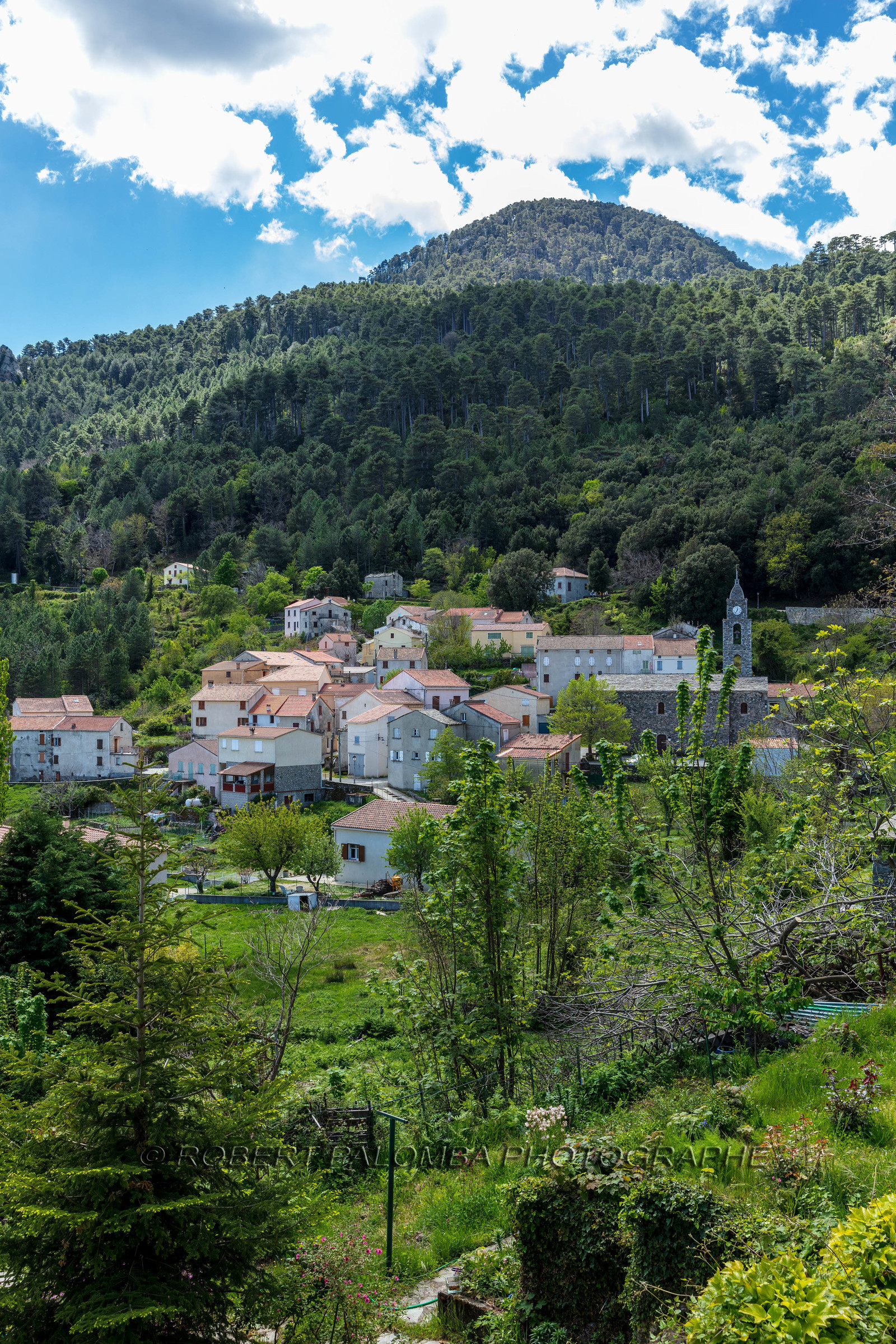 Rospigliani