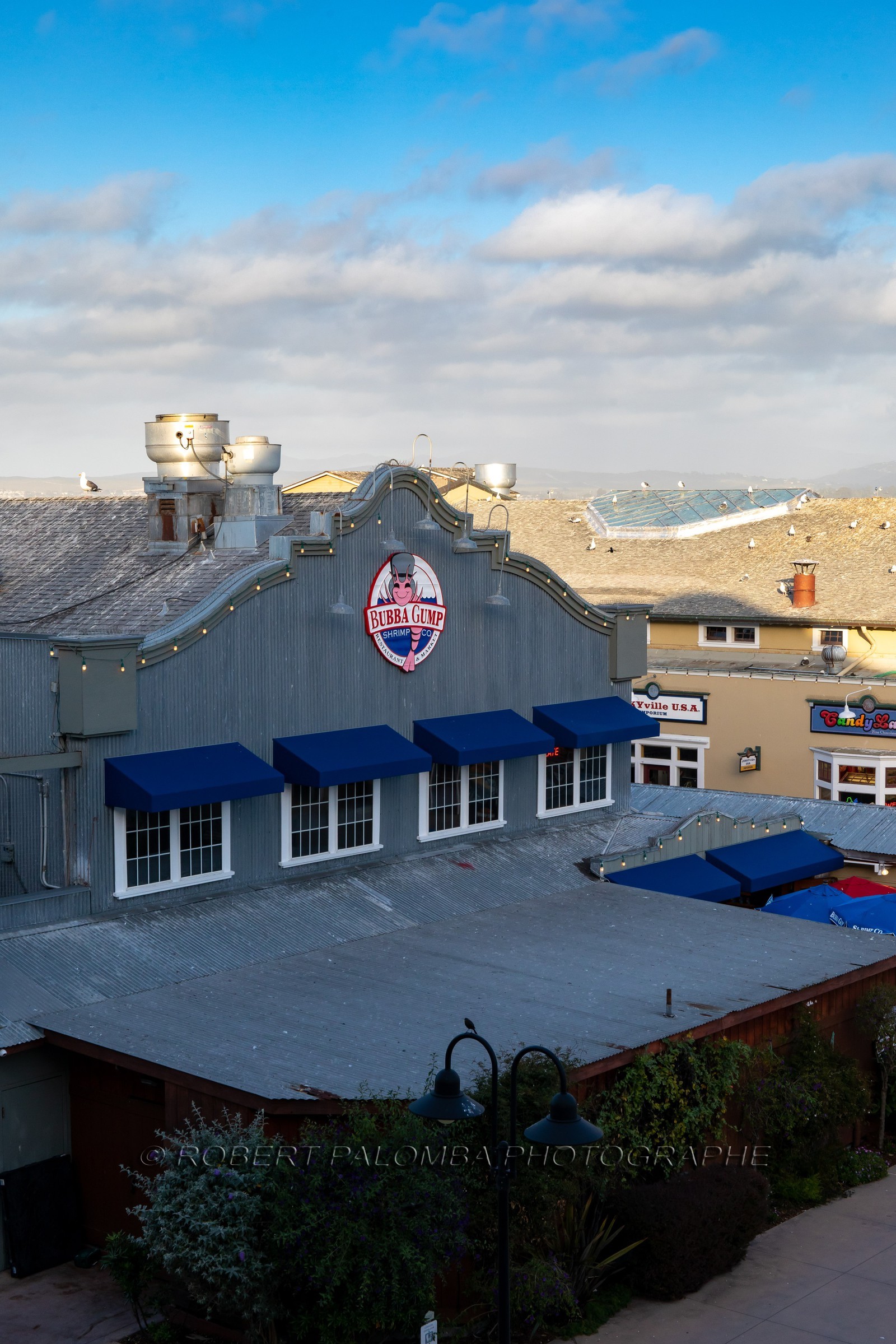 Monterey
