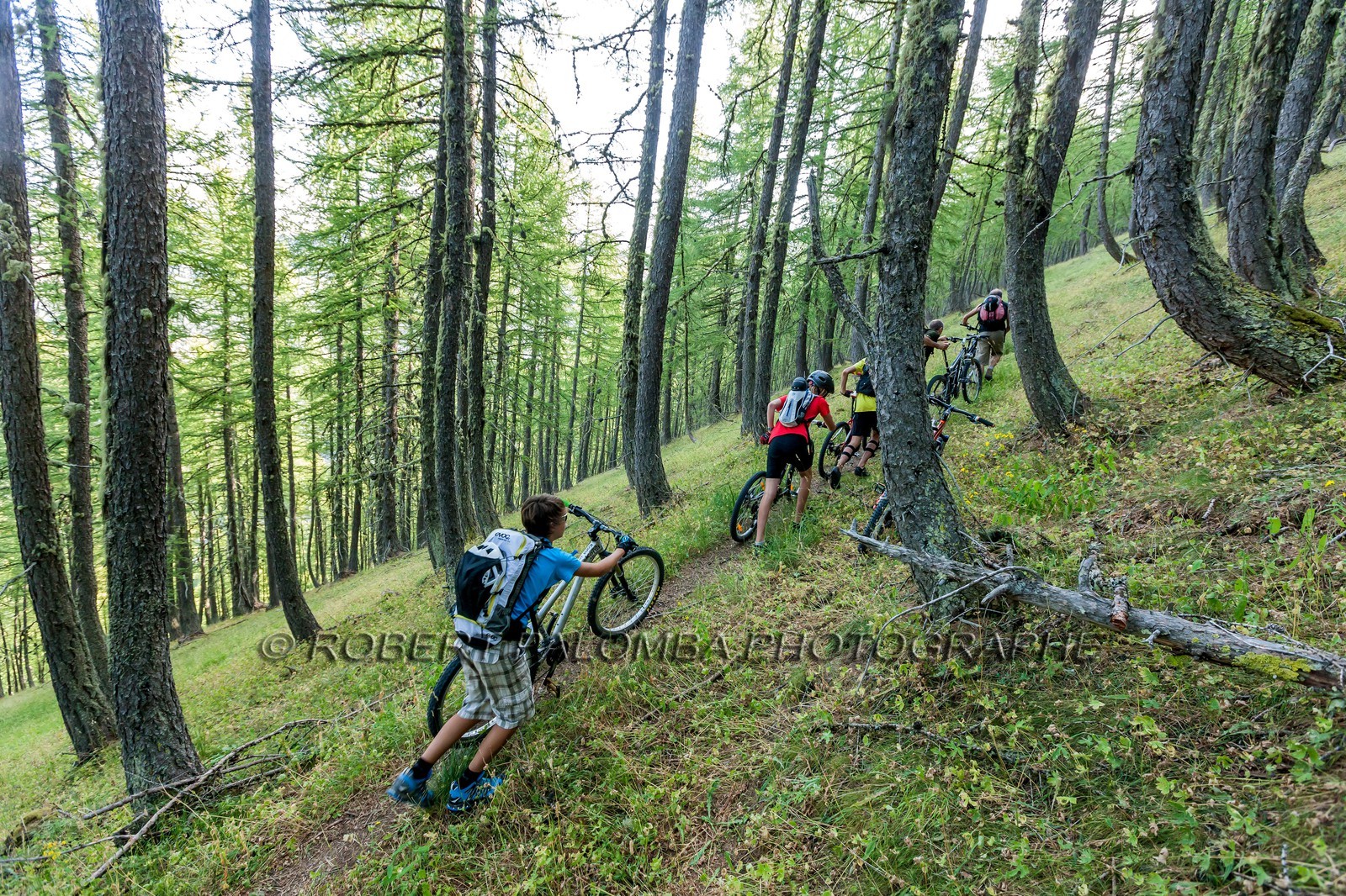 Rando Vtt Lacs de Lignin Rando Vtt Lacs de Lignin